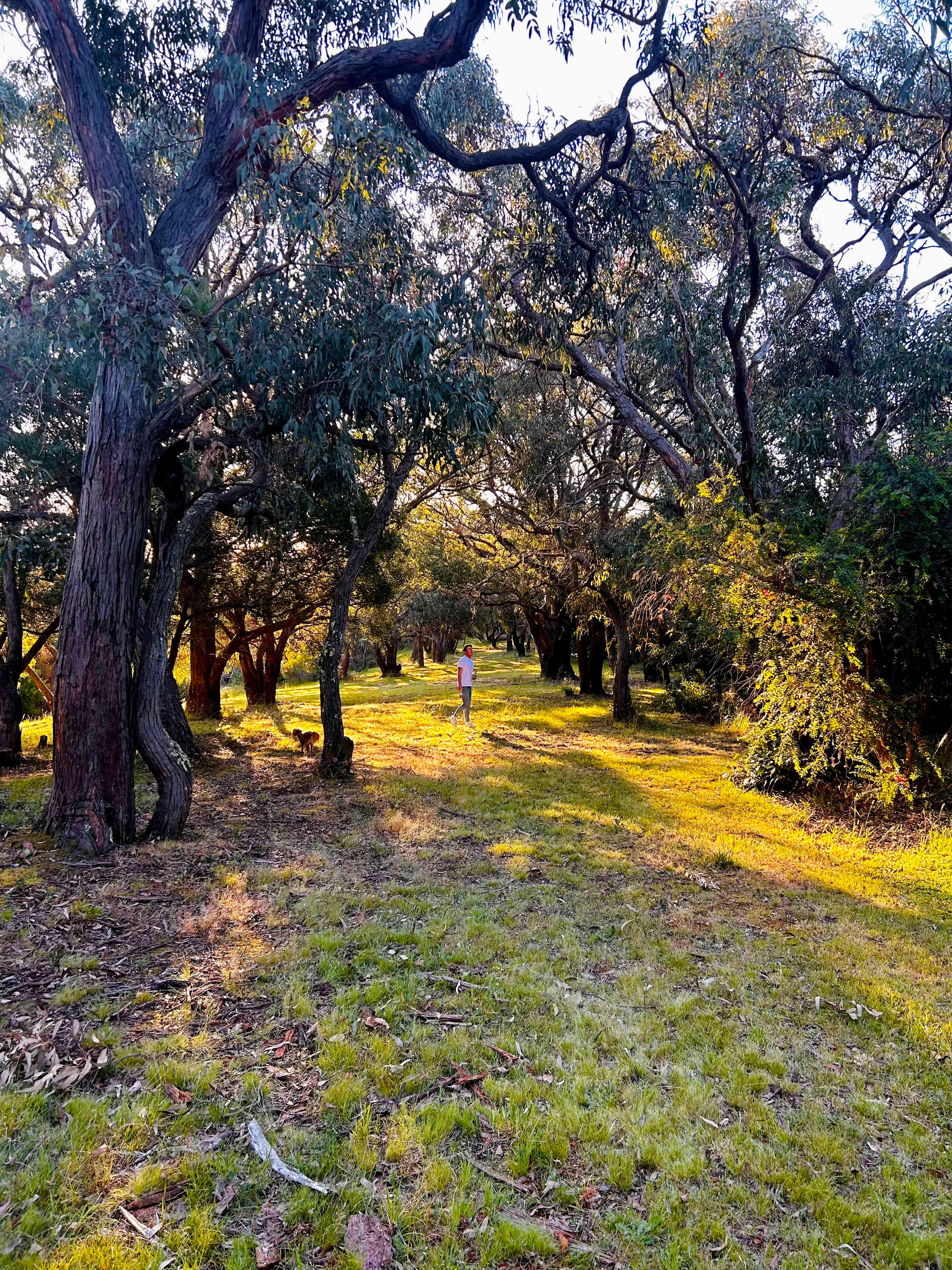Walks around the property