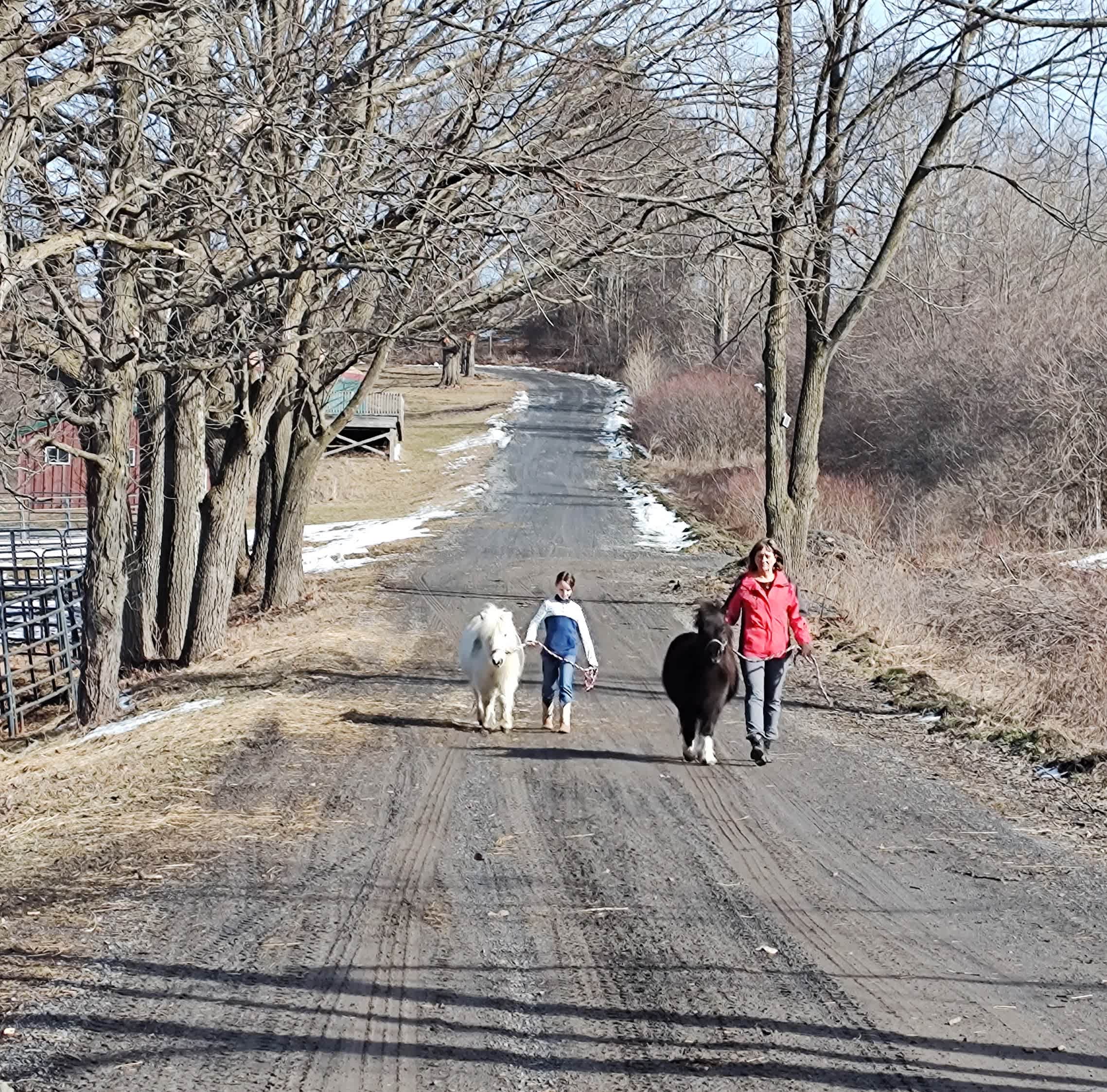 Mini Hiking Experience
*additional fees for horse-experience activities 