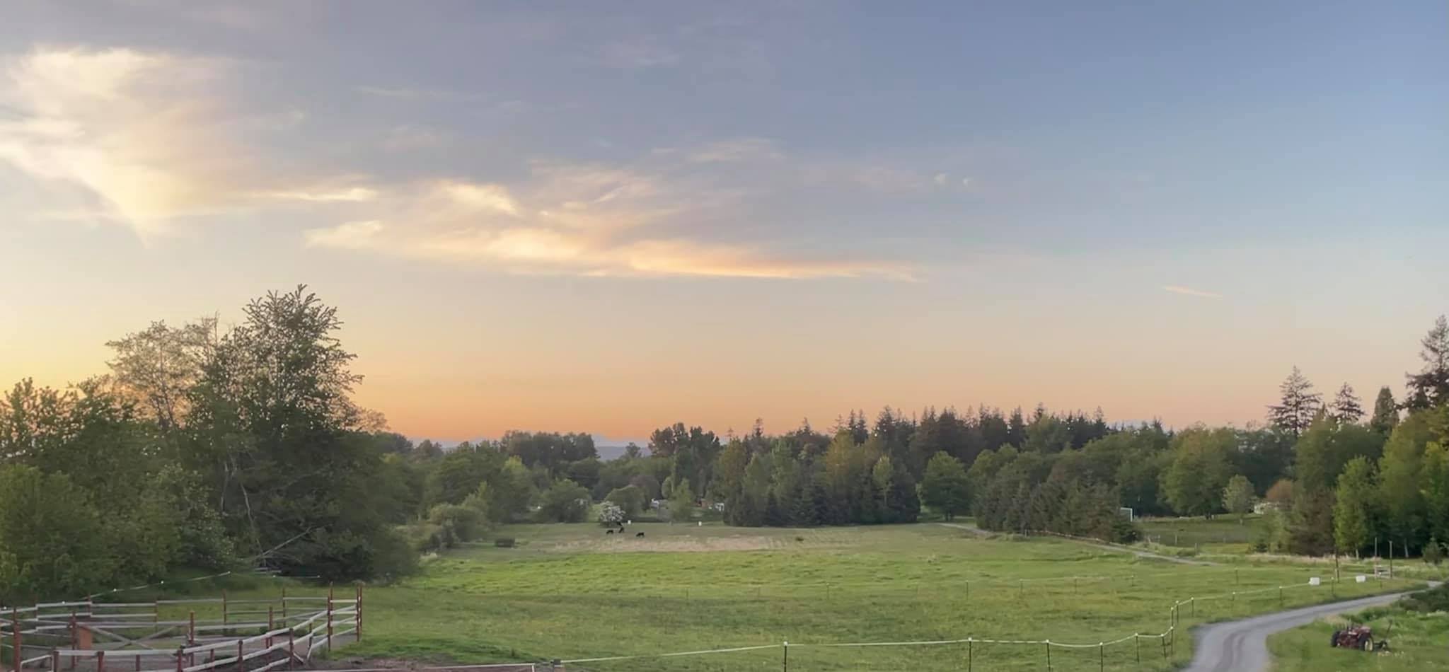 Wood's Edge Farm Camping