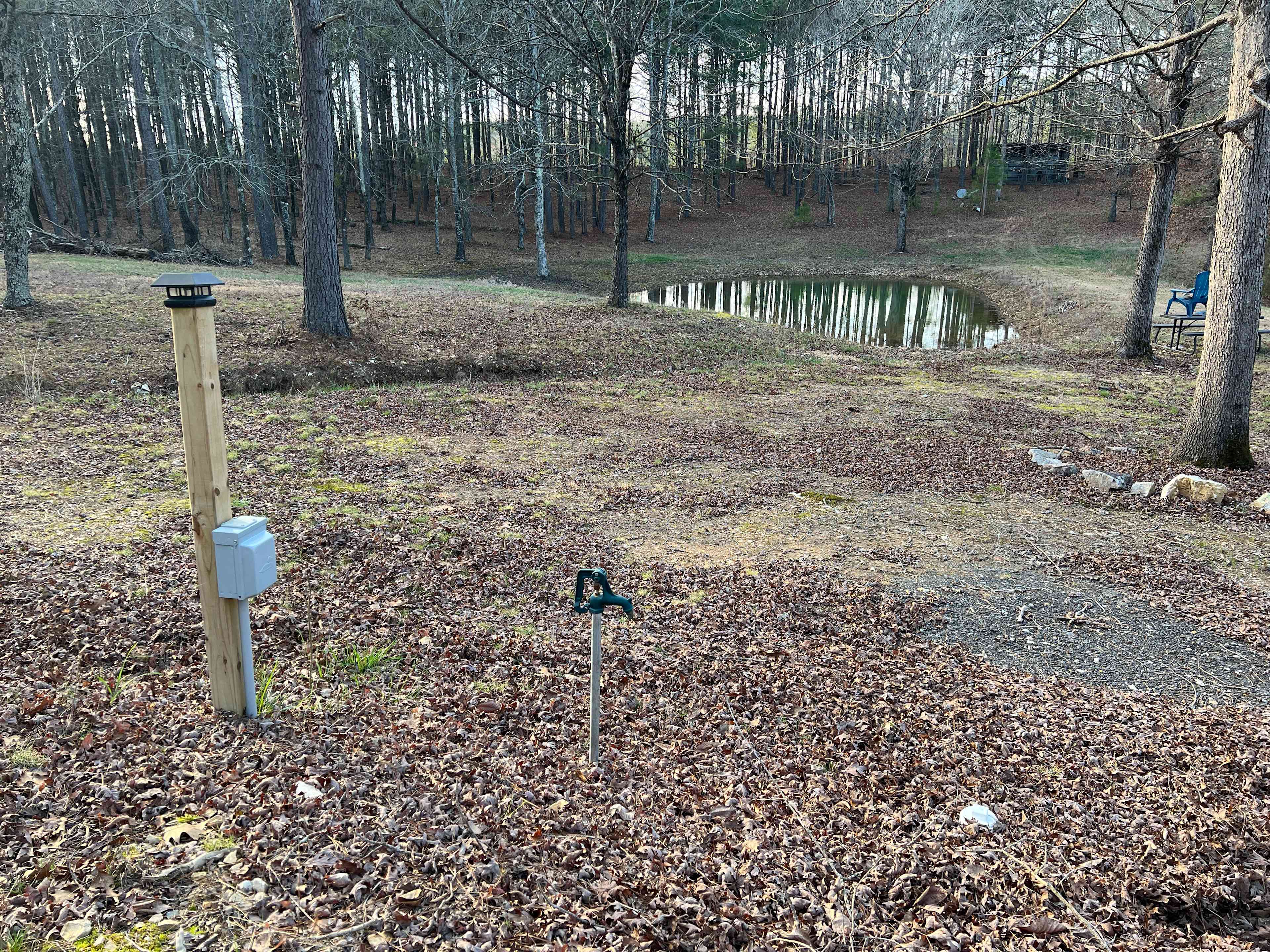 Picture of the site