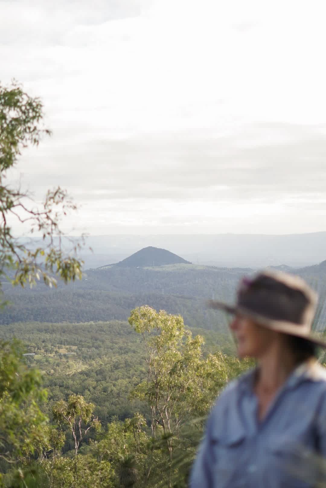 Curragundi Ridge
