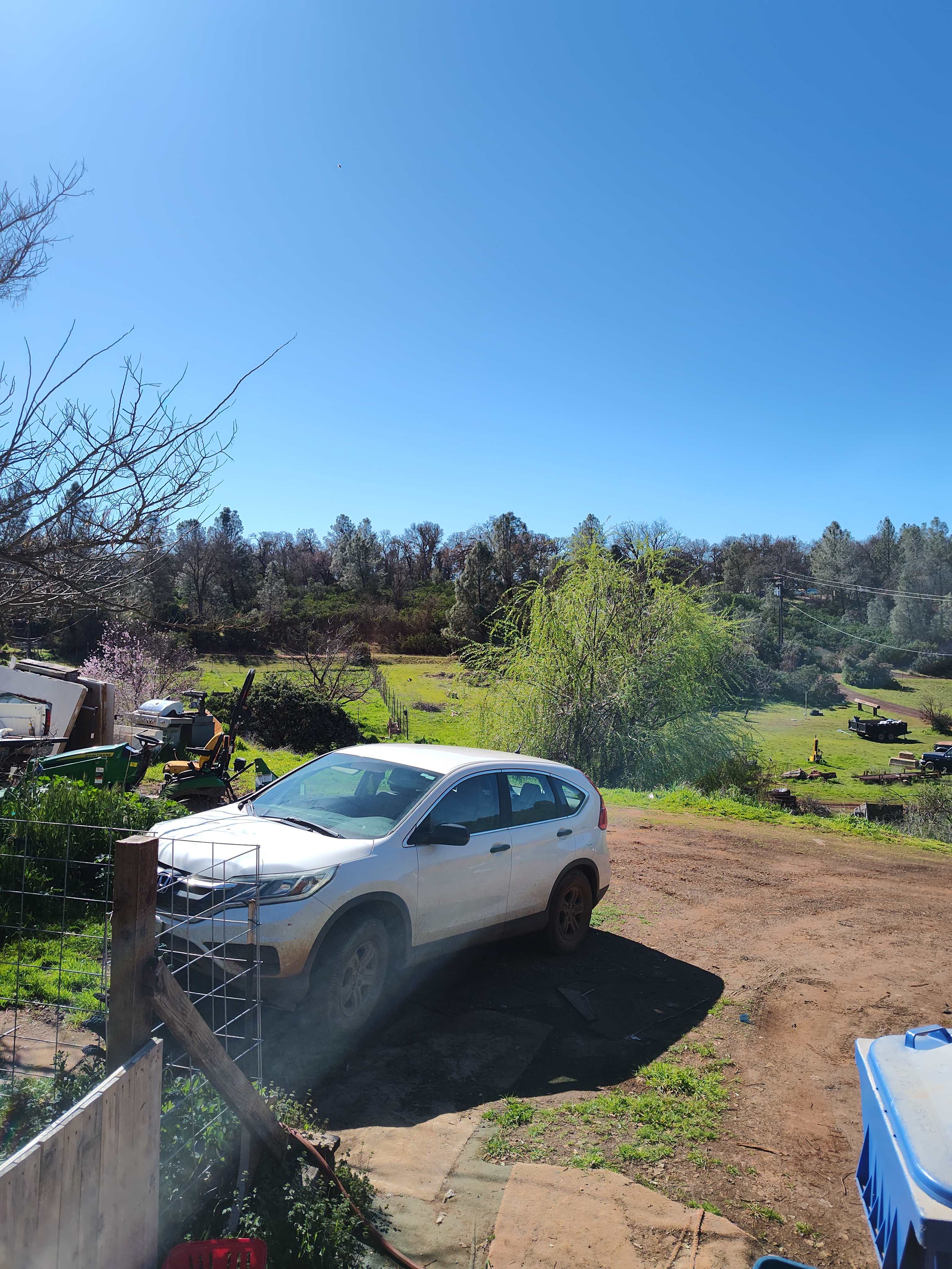RAW Farm Orchards