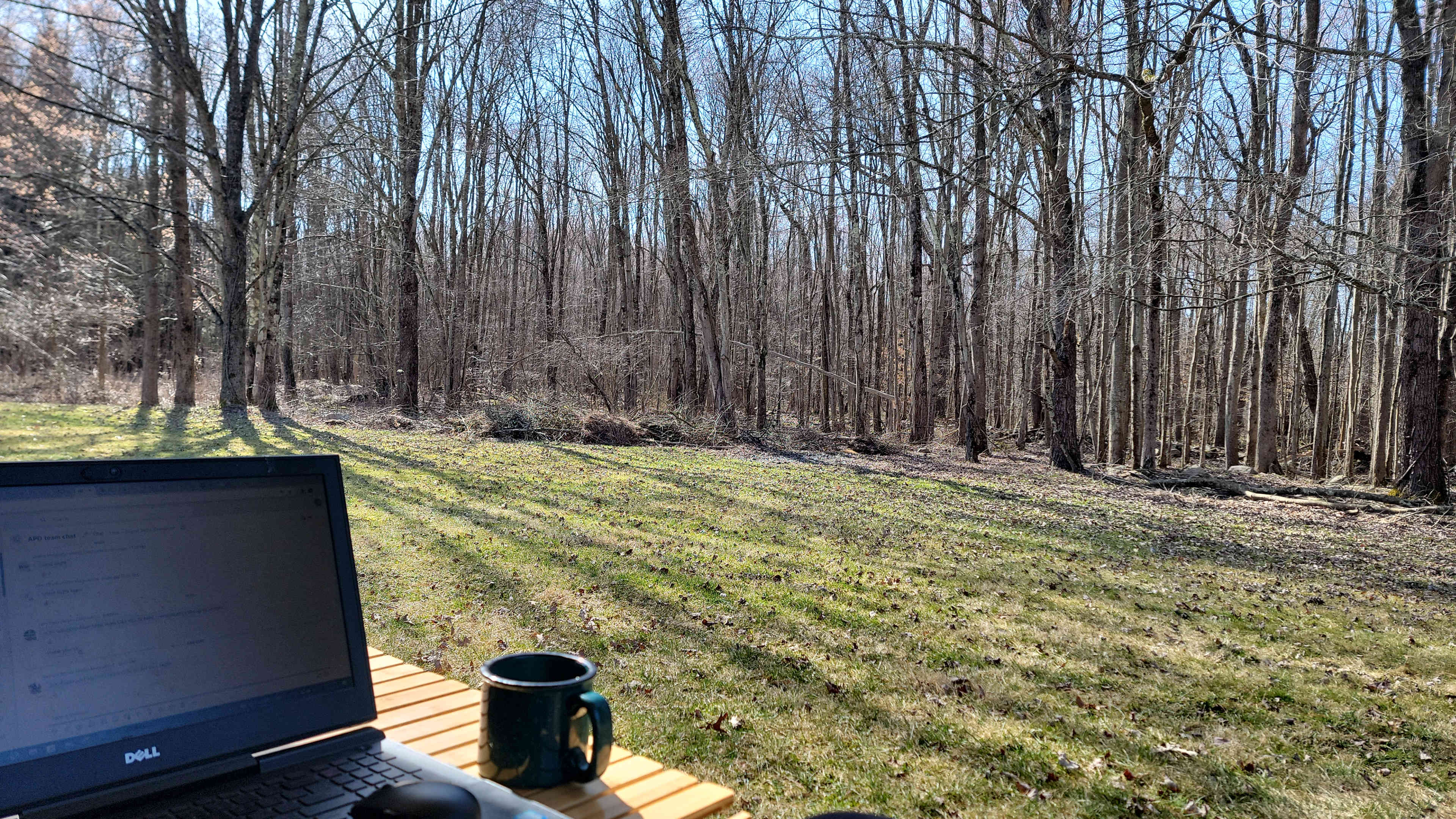 Whispering Woods Retreat