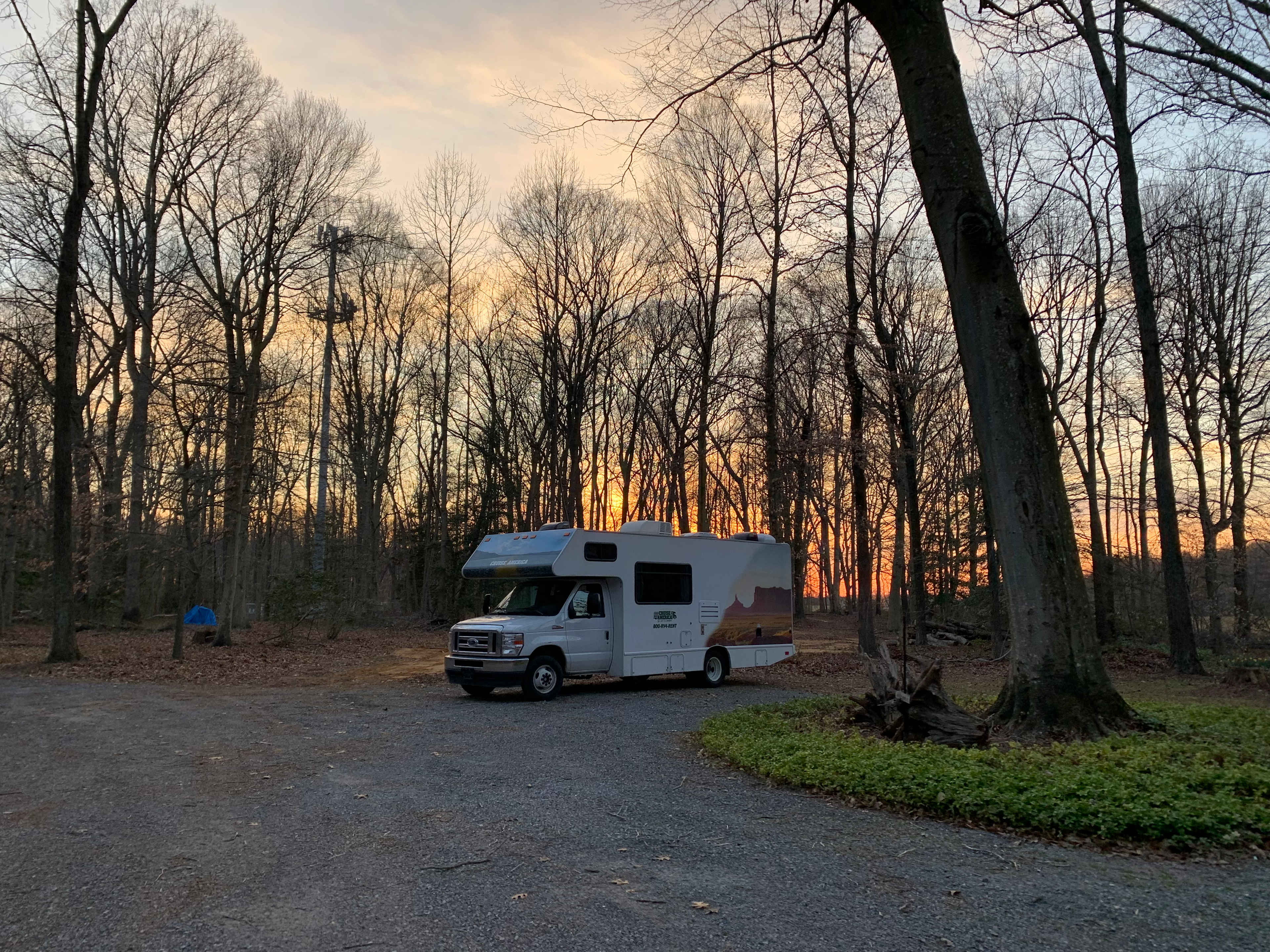 Picture of the site