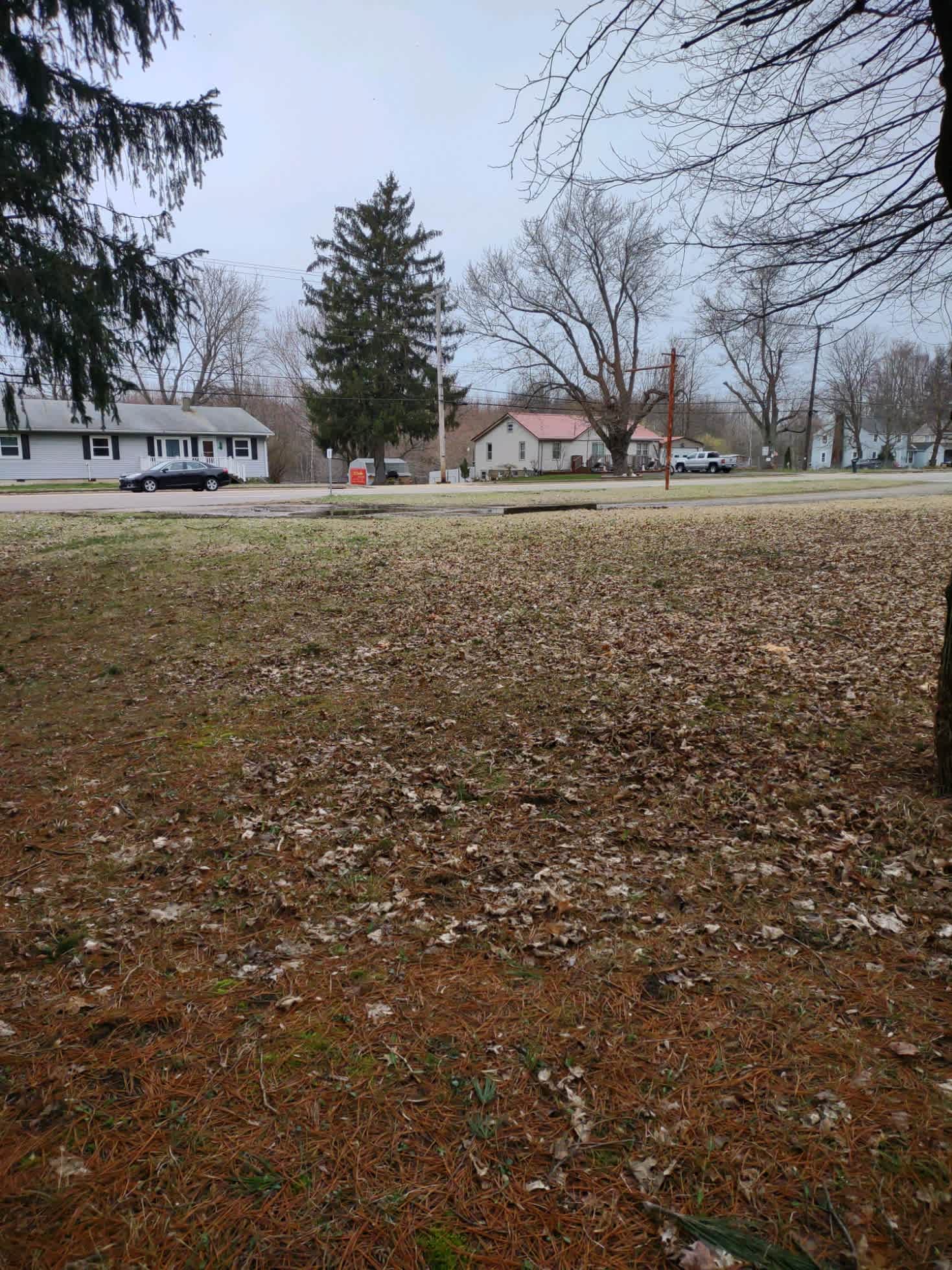 Camper site 1- view to the road