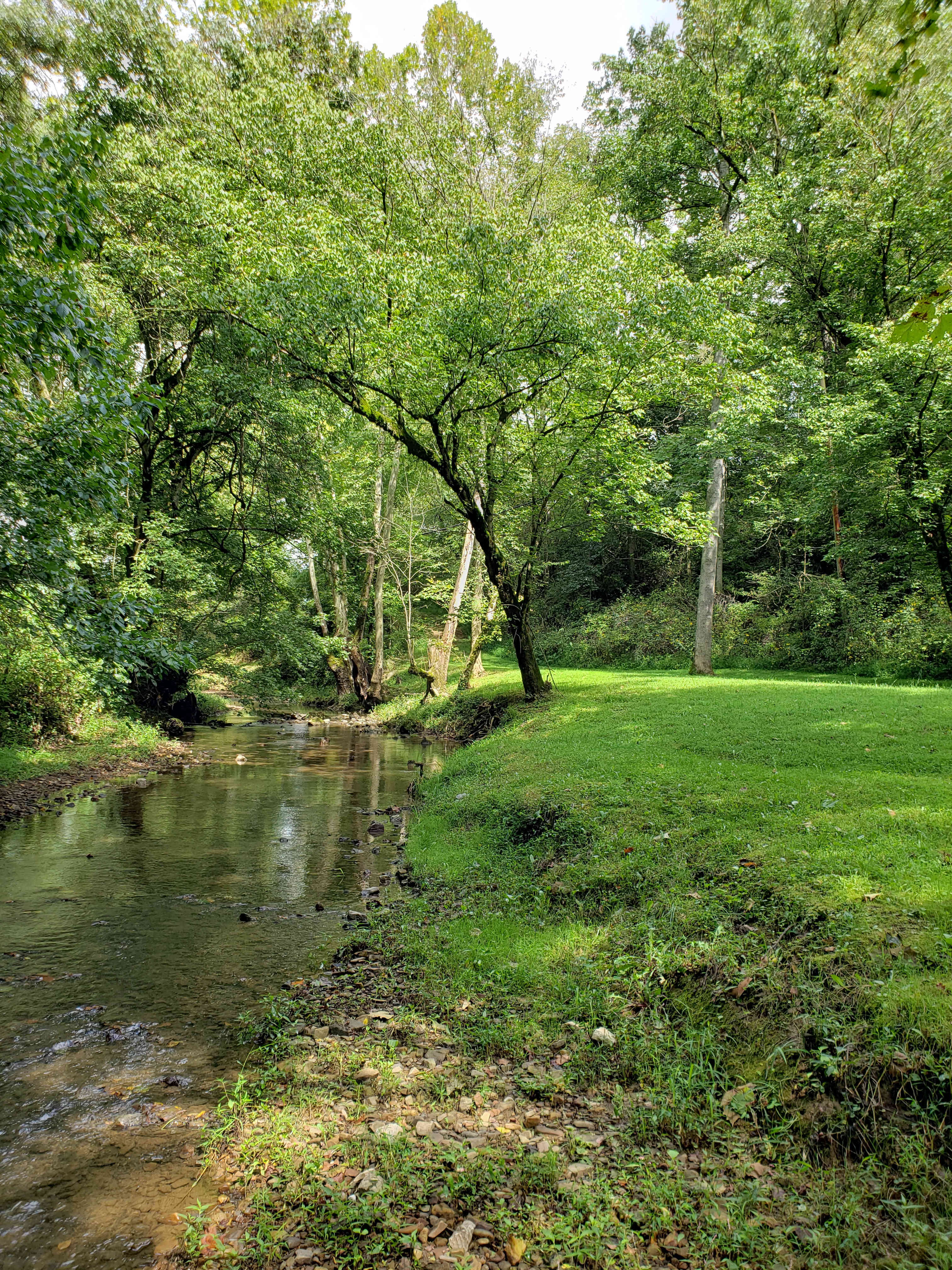 Out On The Creek Campground & RV