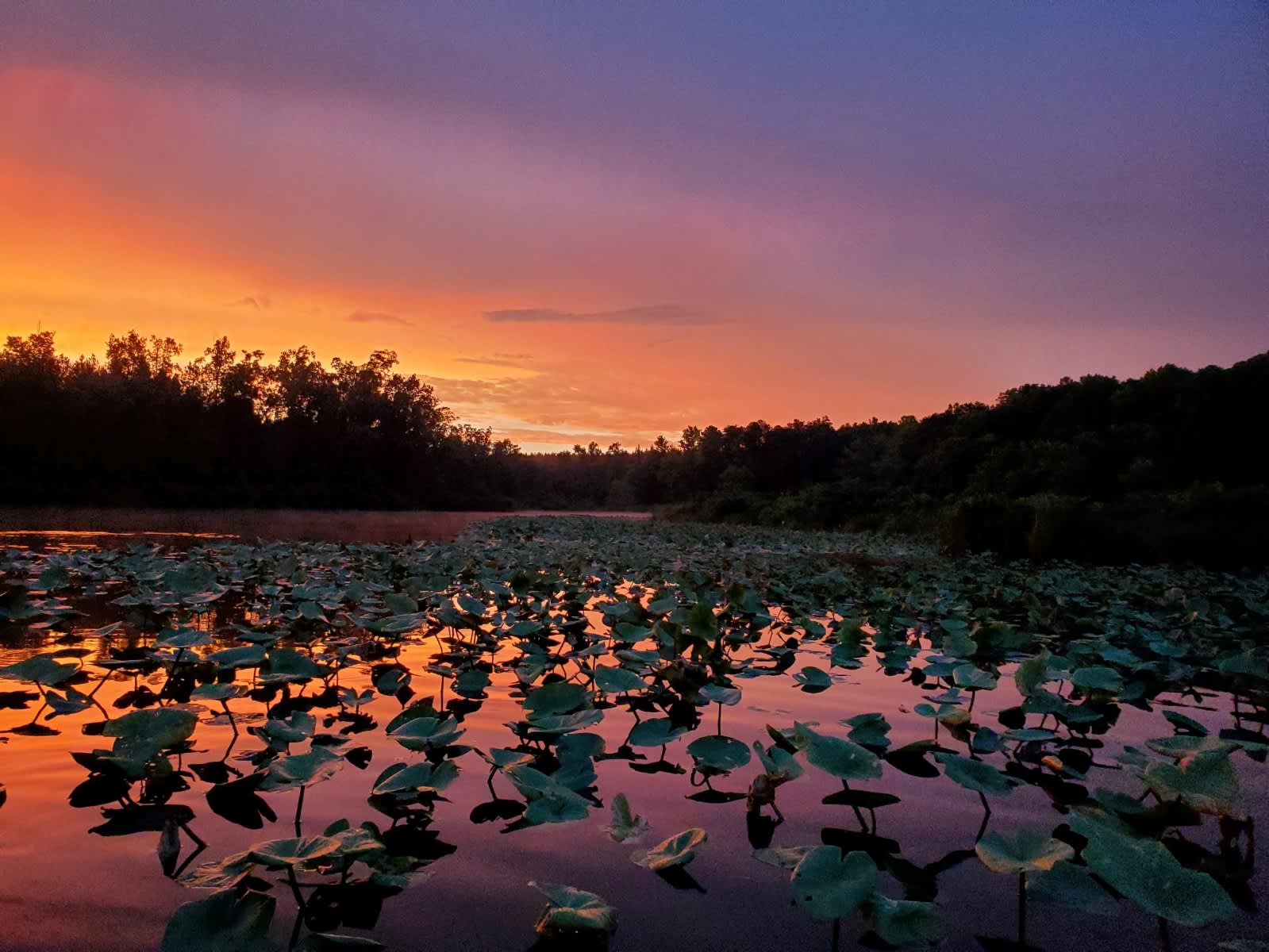 Sunrise by the Pond