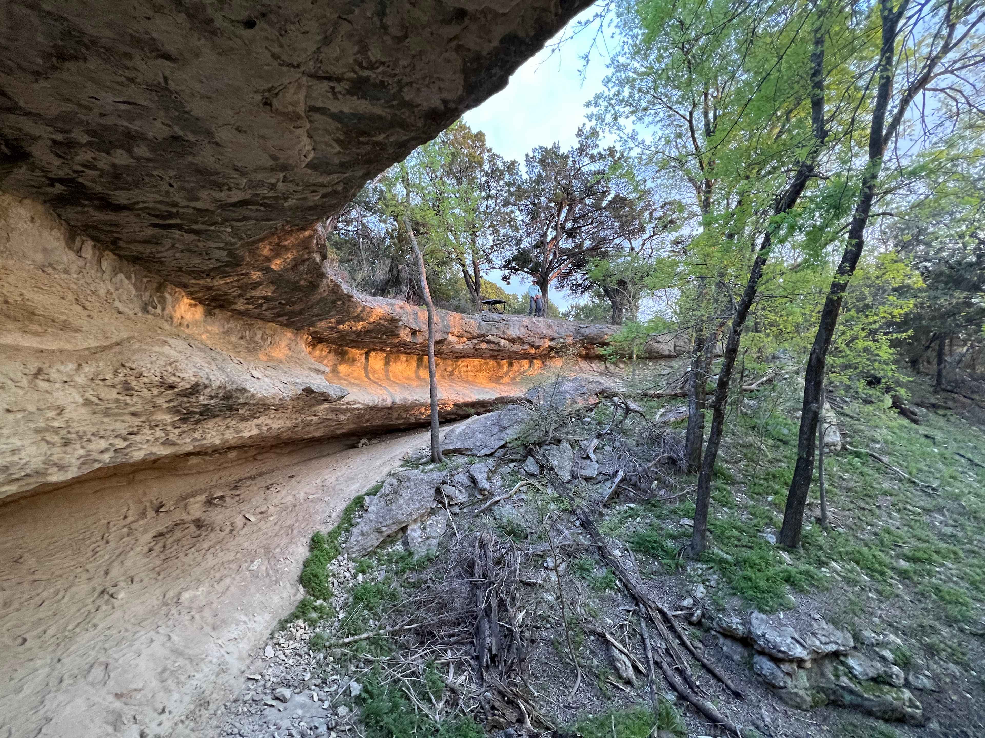 Picture of the site