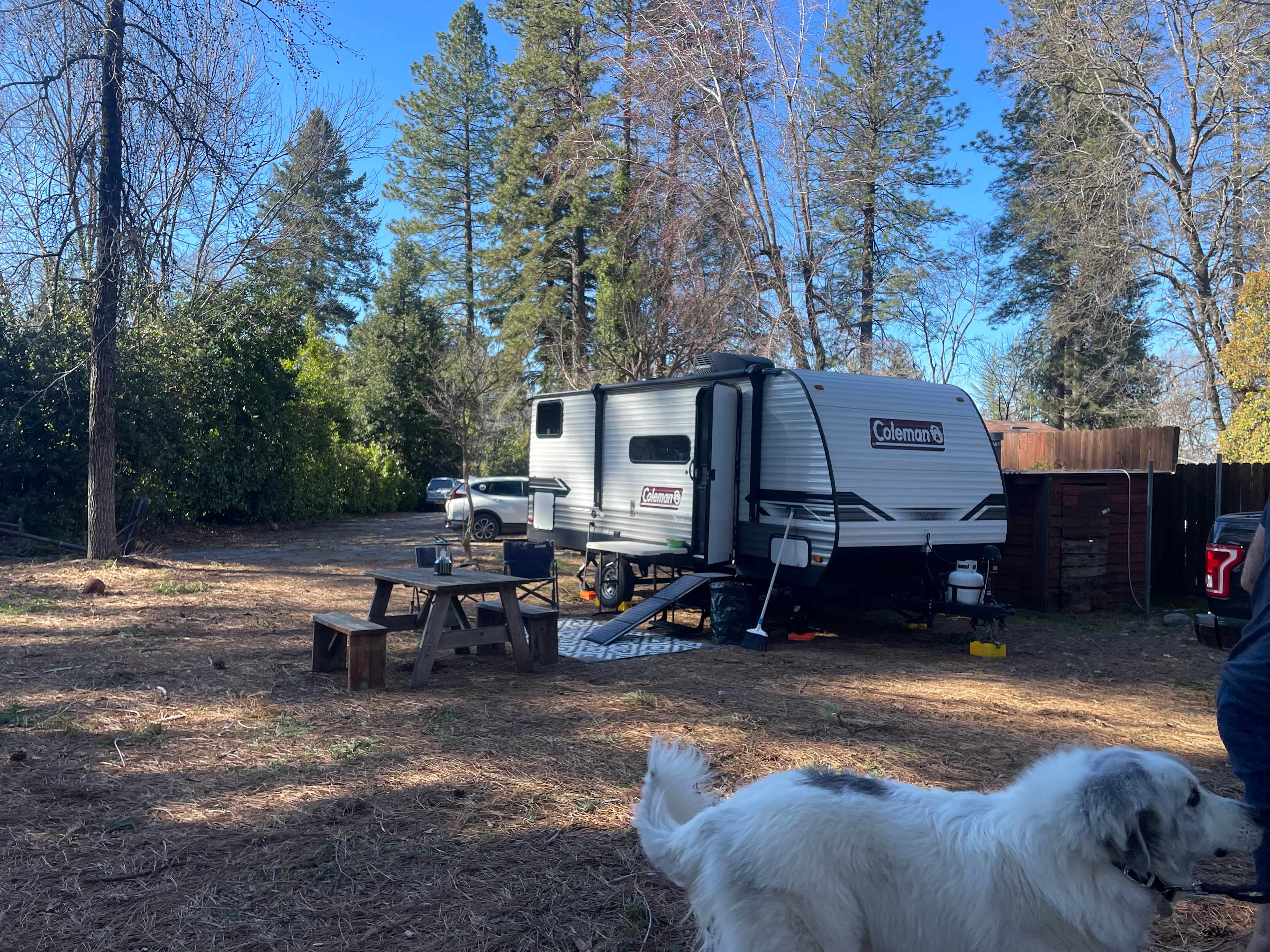 Shady In-Town Creekside Campsite