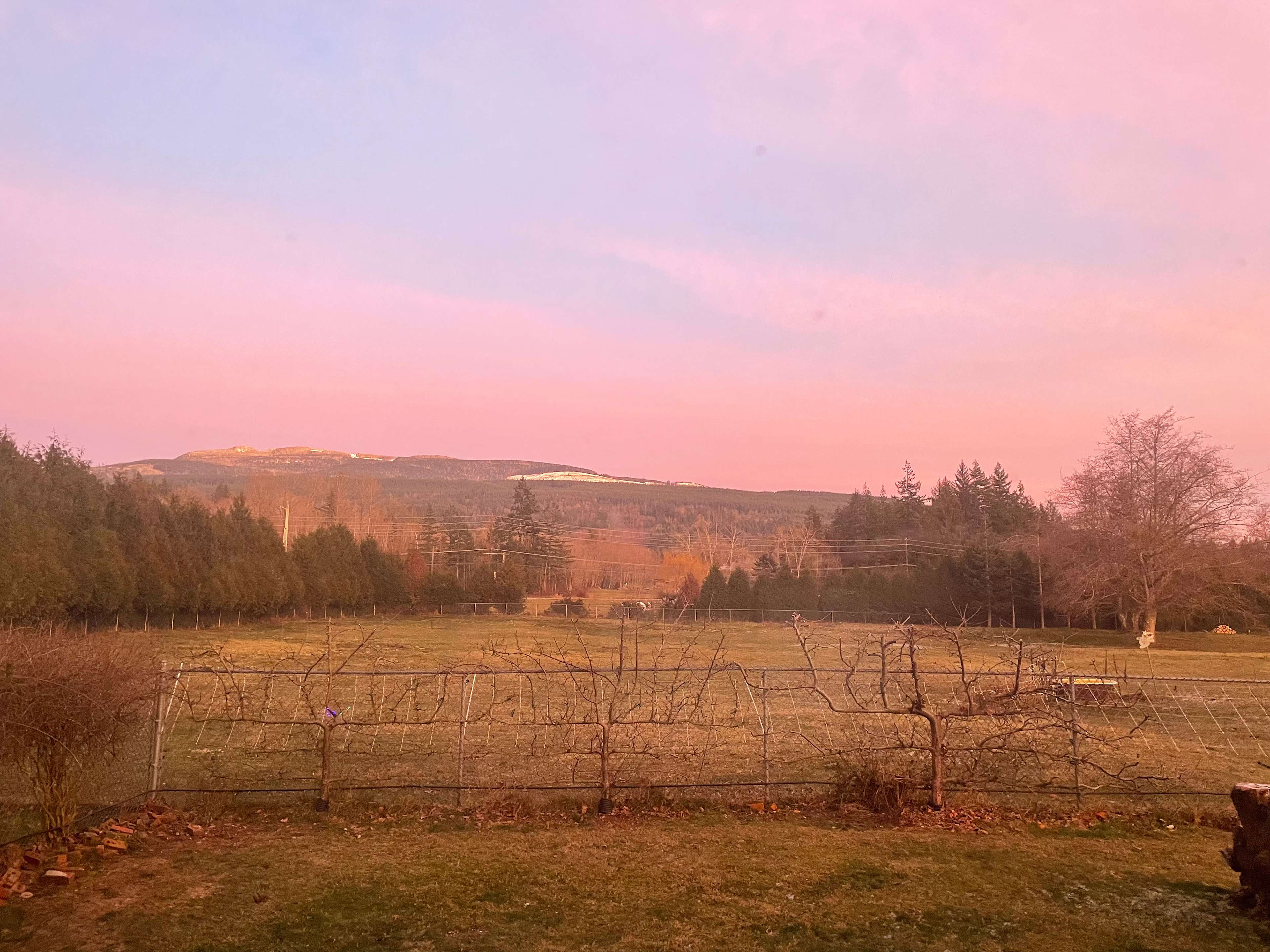 Alger Farm Stay