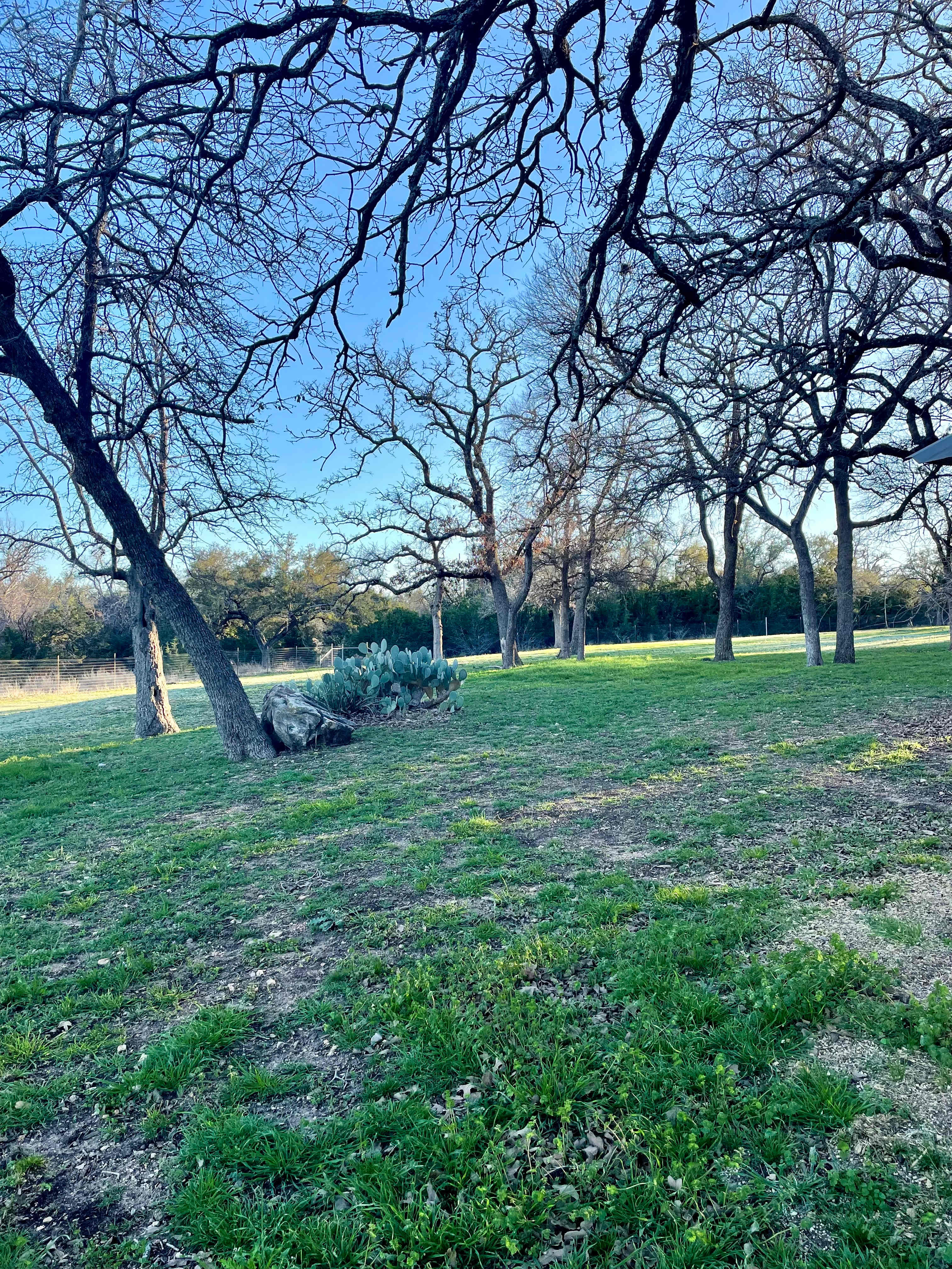 Hill Country Camping Marble Falls