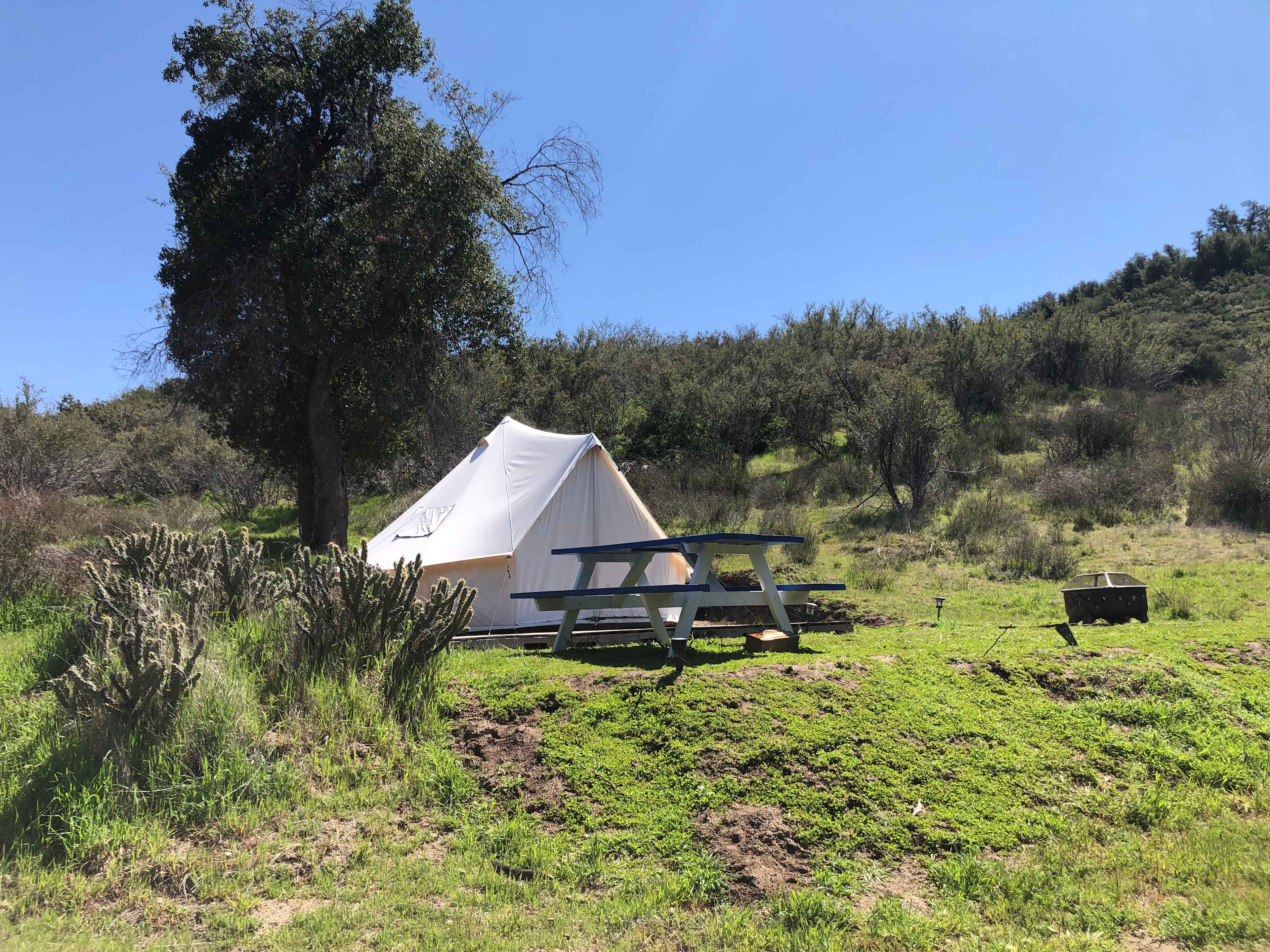 Picture of the site