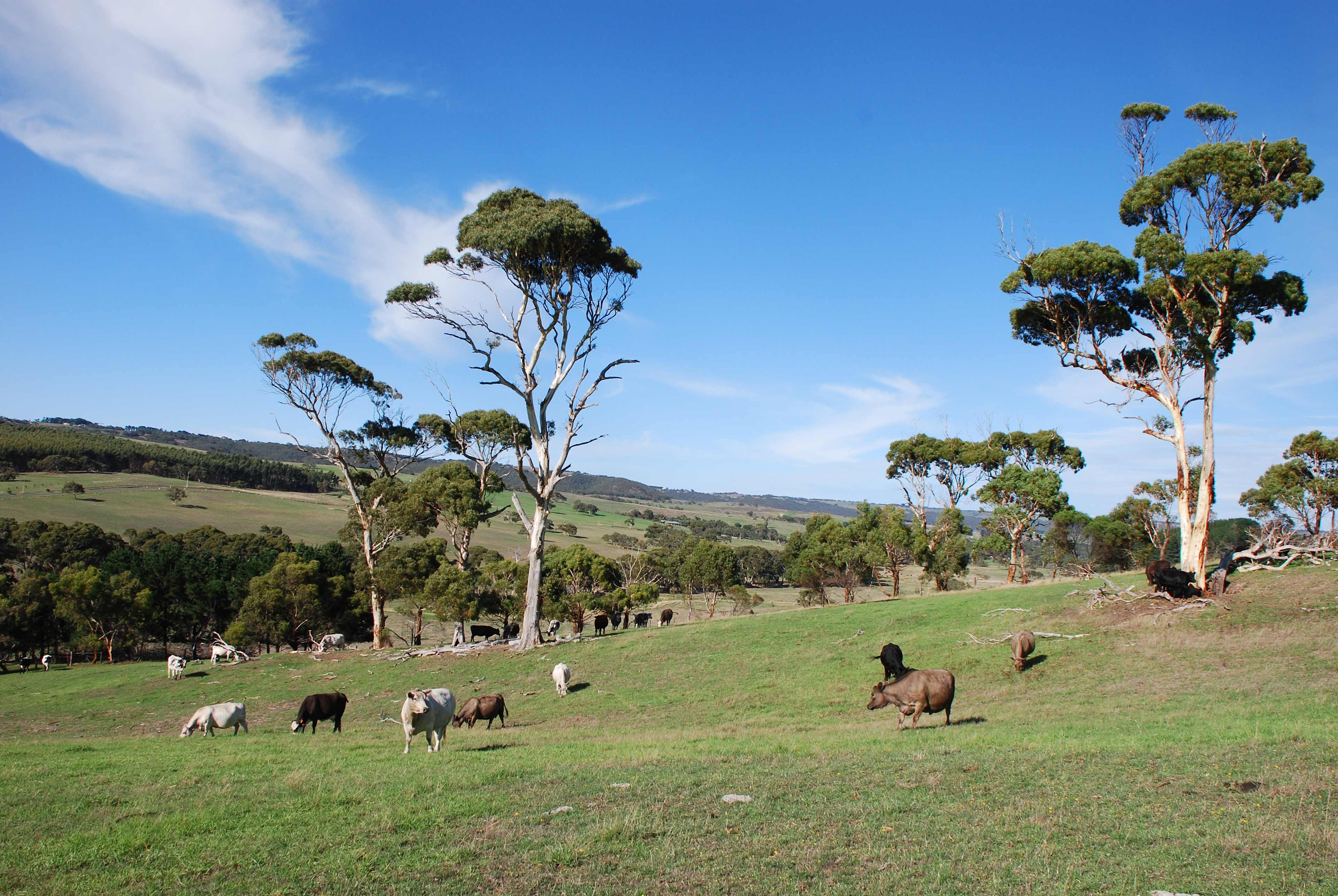 Green Pastures Retreat