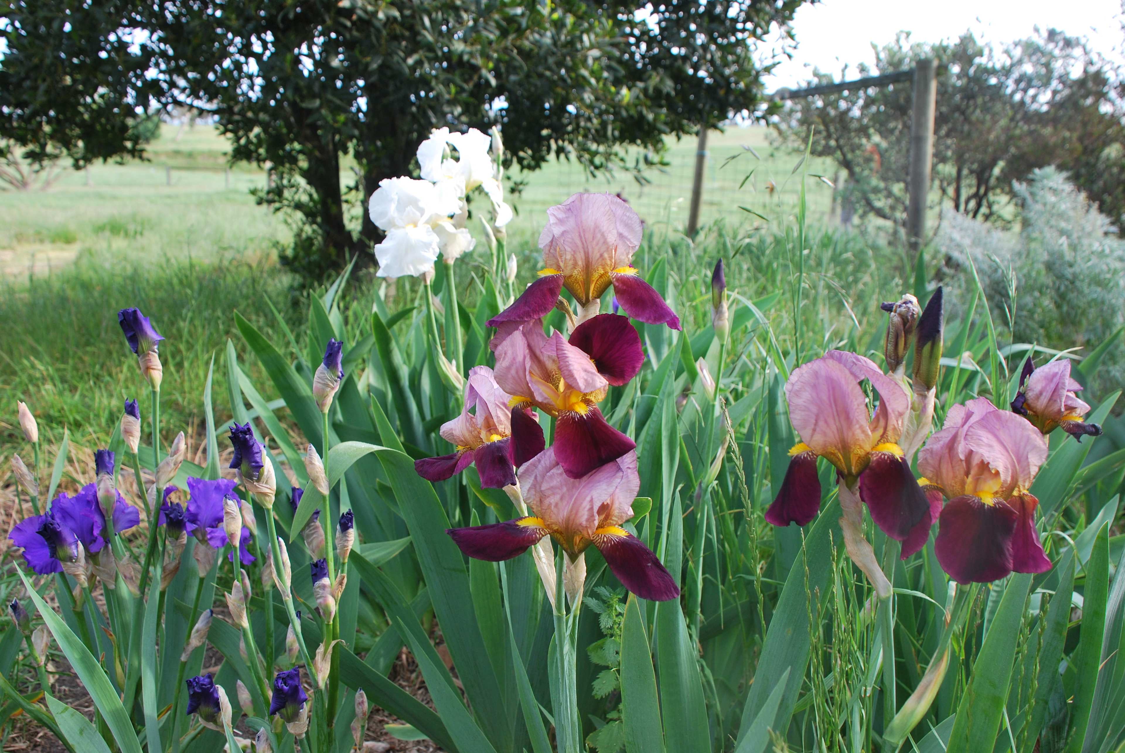 Green Pastures Retreat