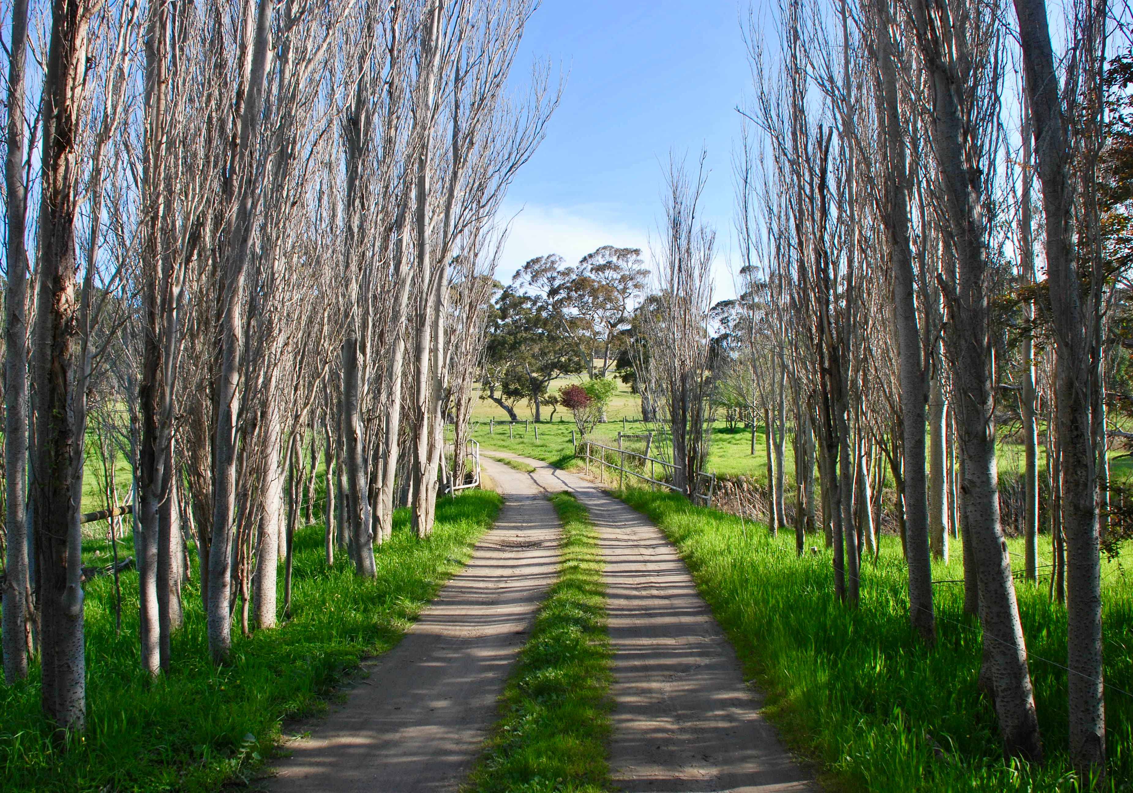 The view exiting our property.