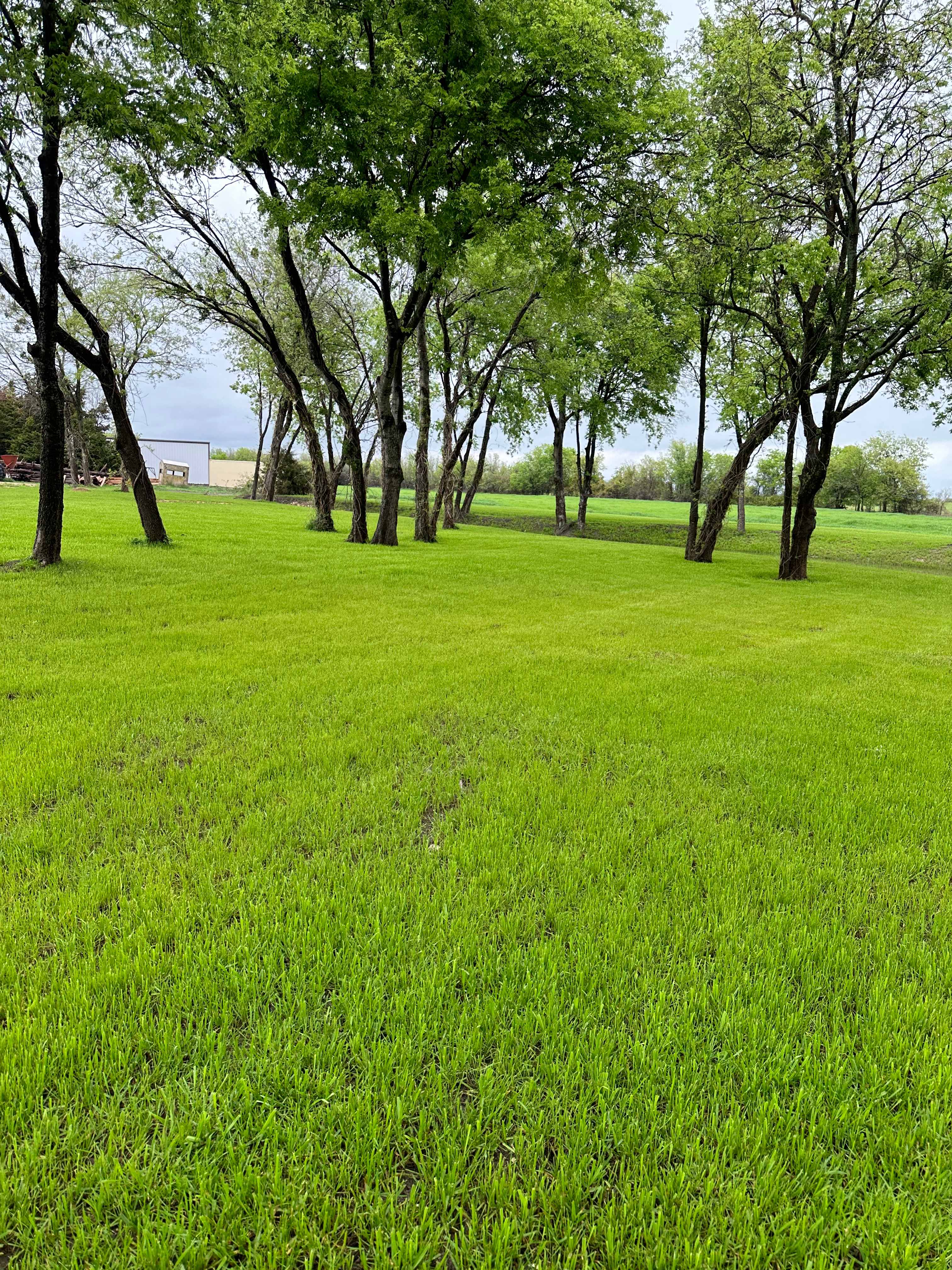 The Will Of Waco Primitive Camping