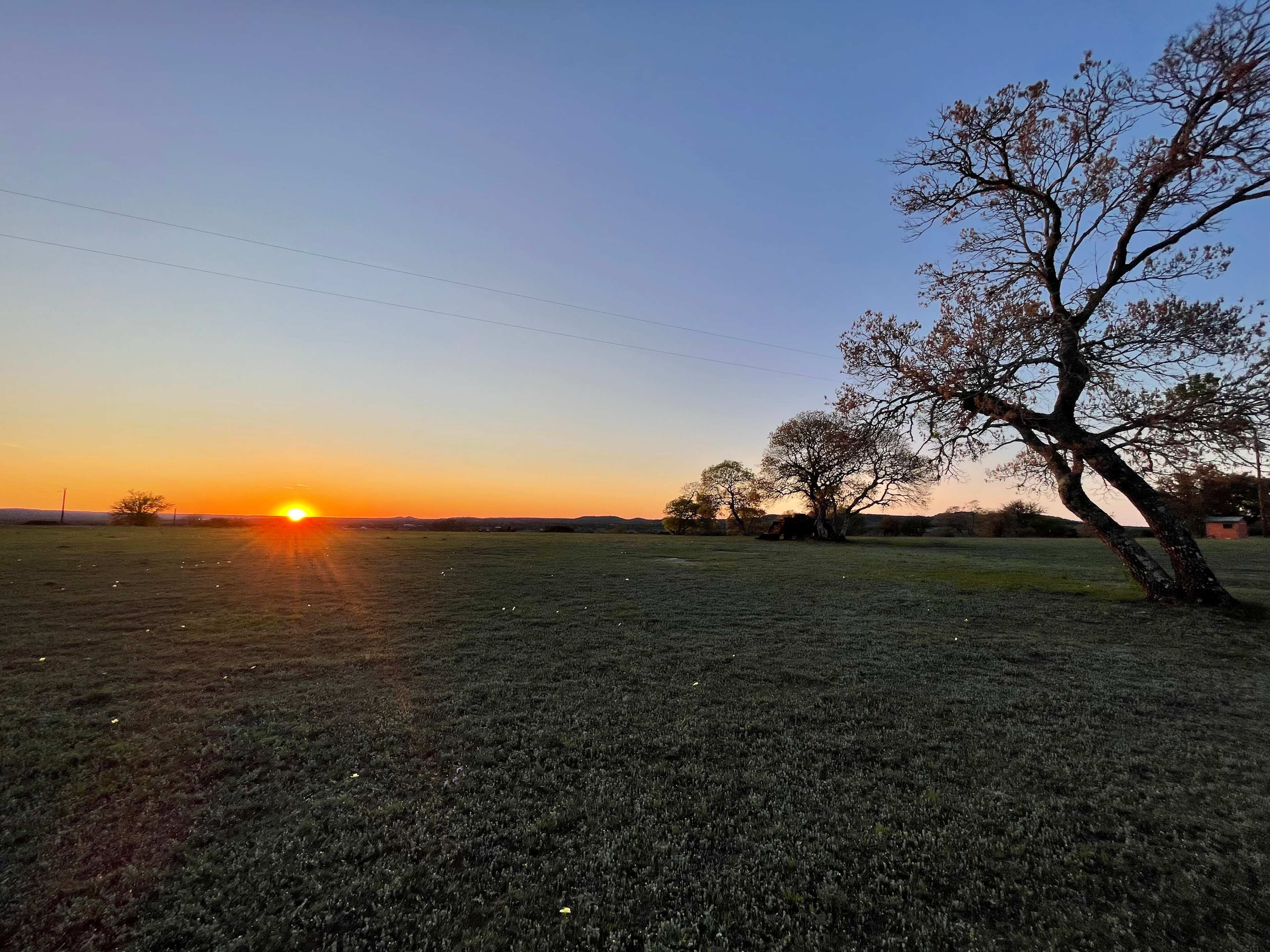 Hill Country Serenity