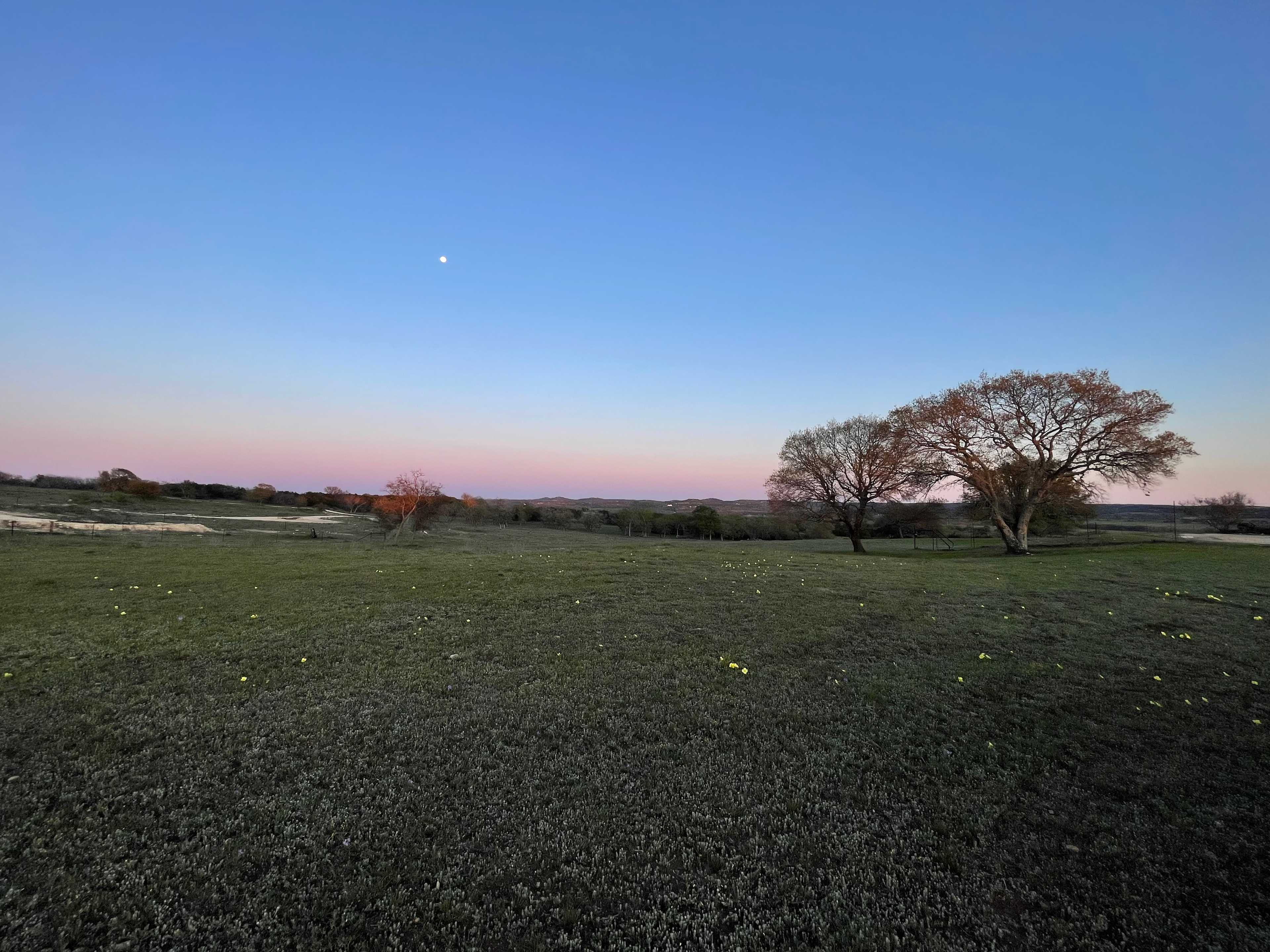 Hill Country Serenity