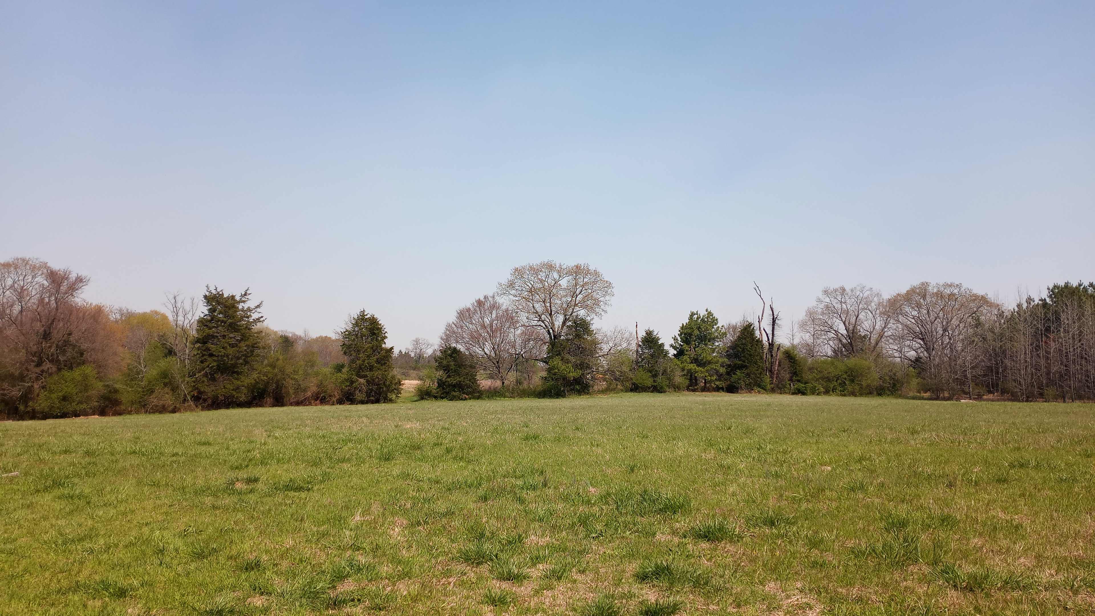Wide open space for viewing the eclipse, possible overflow camping. Primary camping site is on the other side of the treeline.