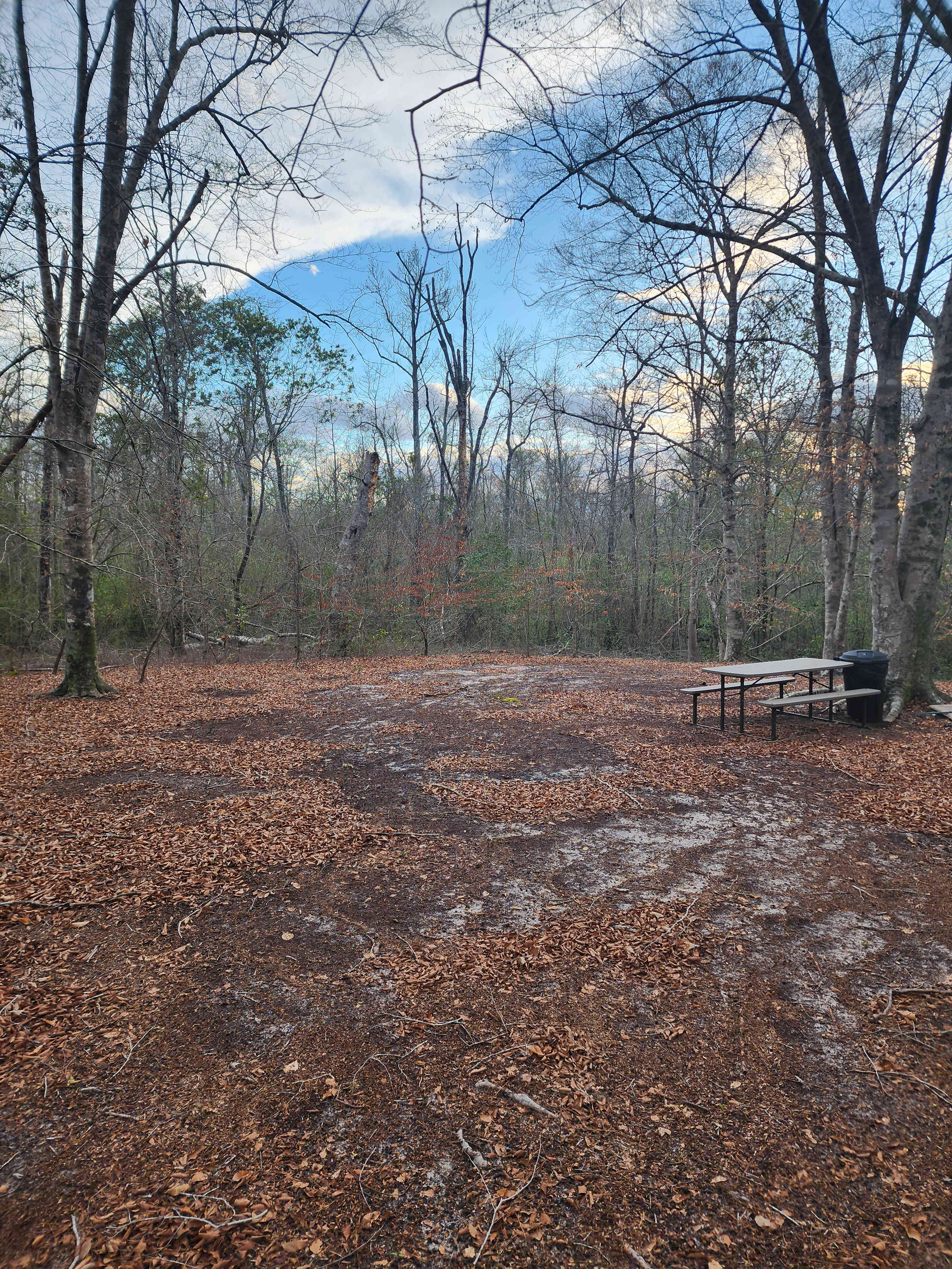 Swift Creek Primitive Camping