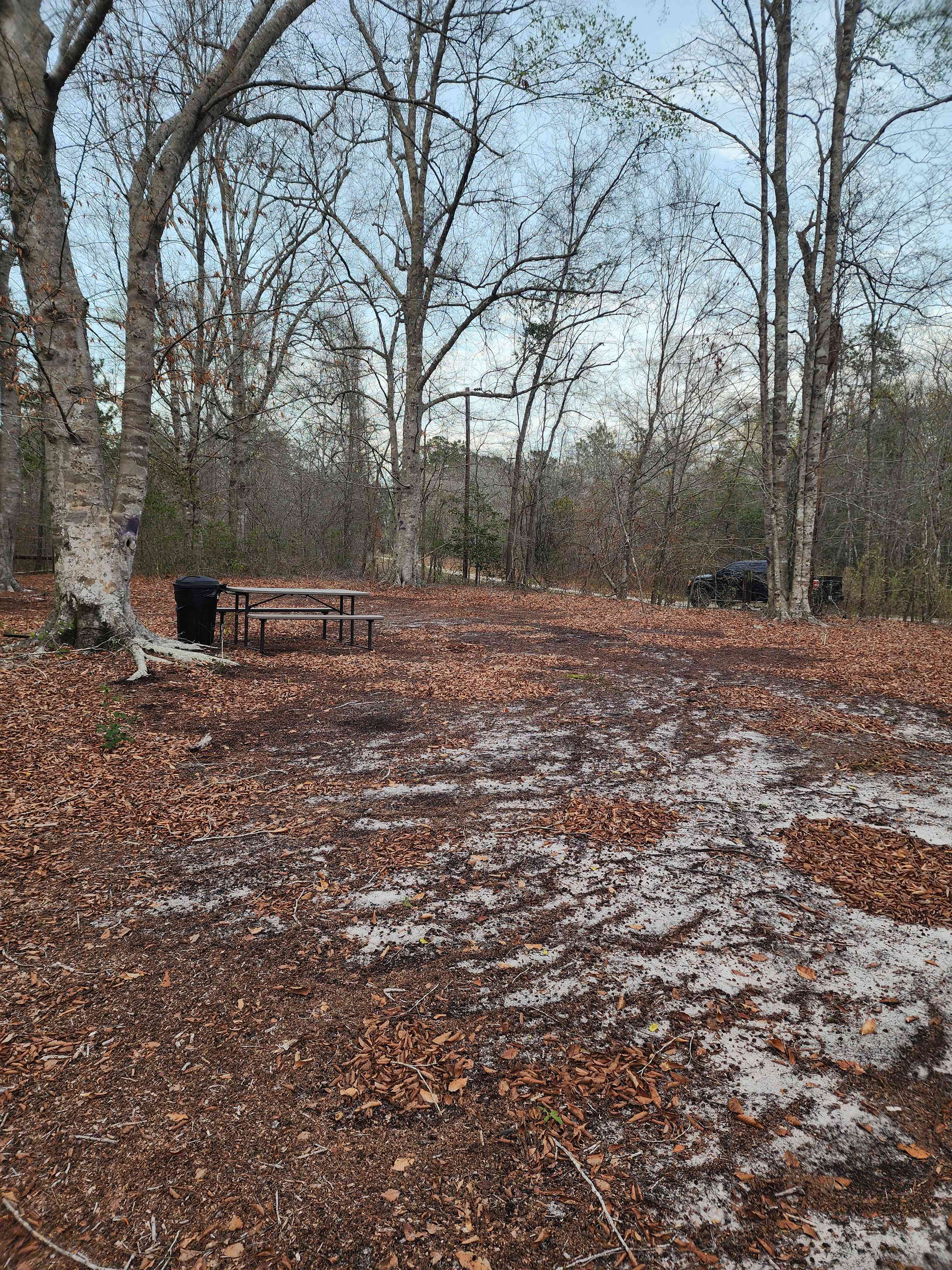 Swift Creek Primitive Camping