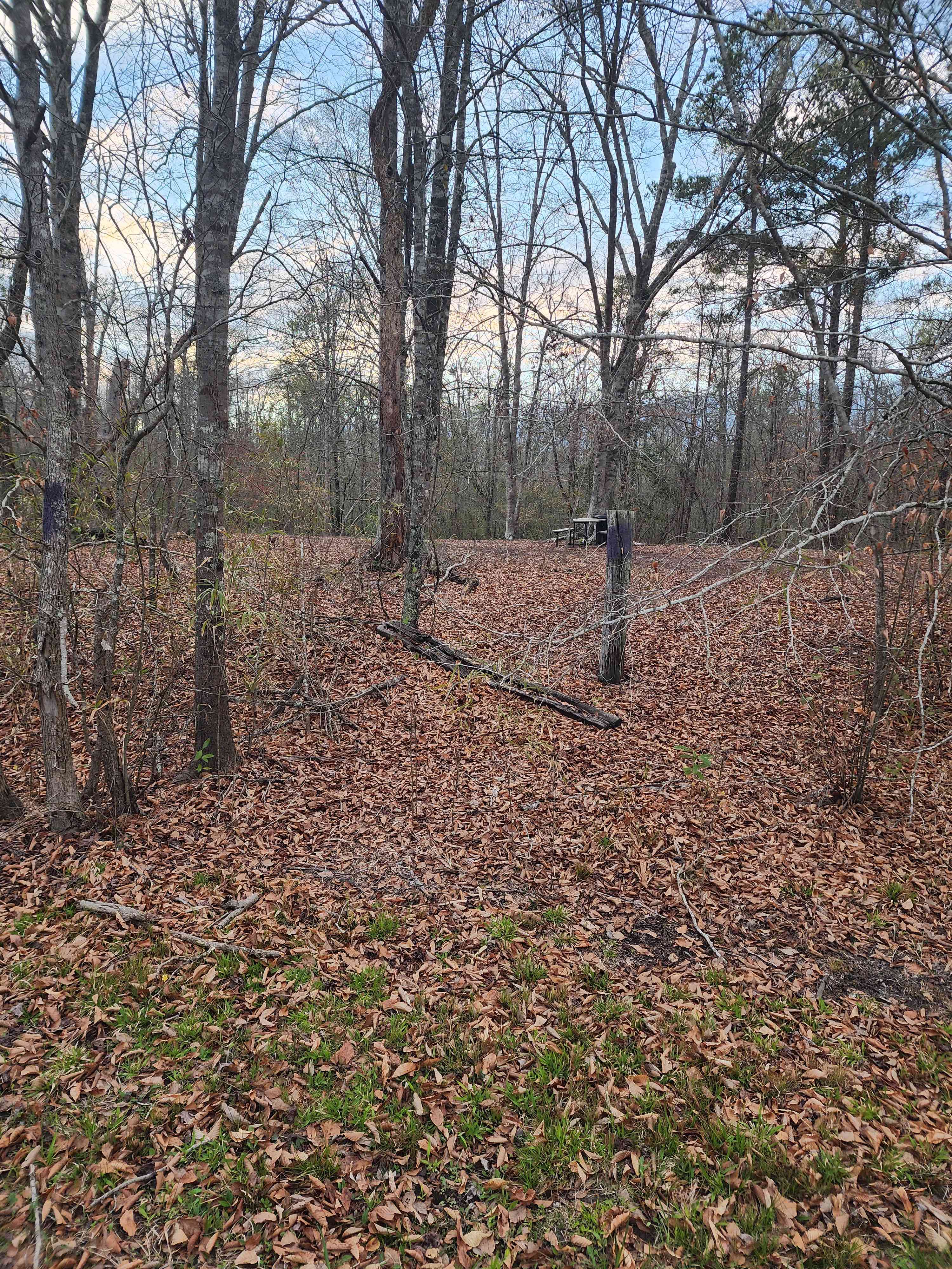 Swift Creek Primitive Camping