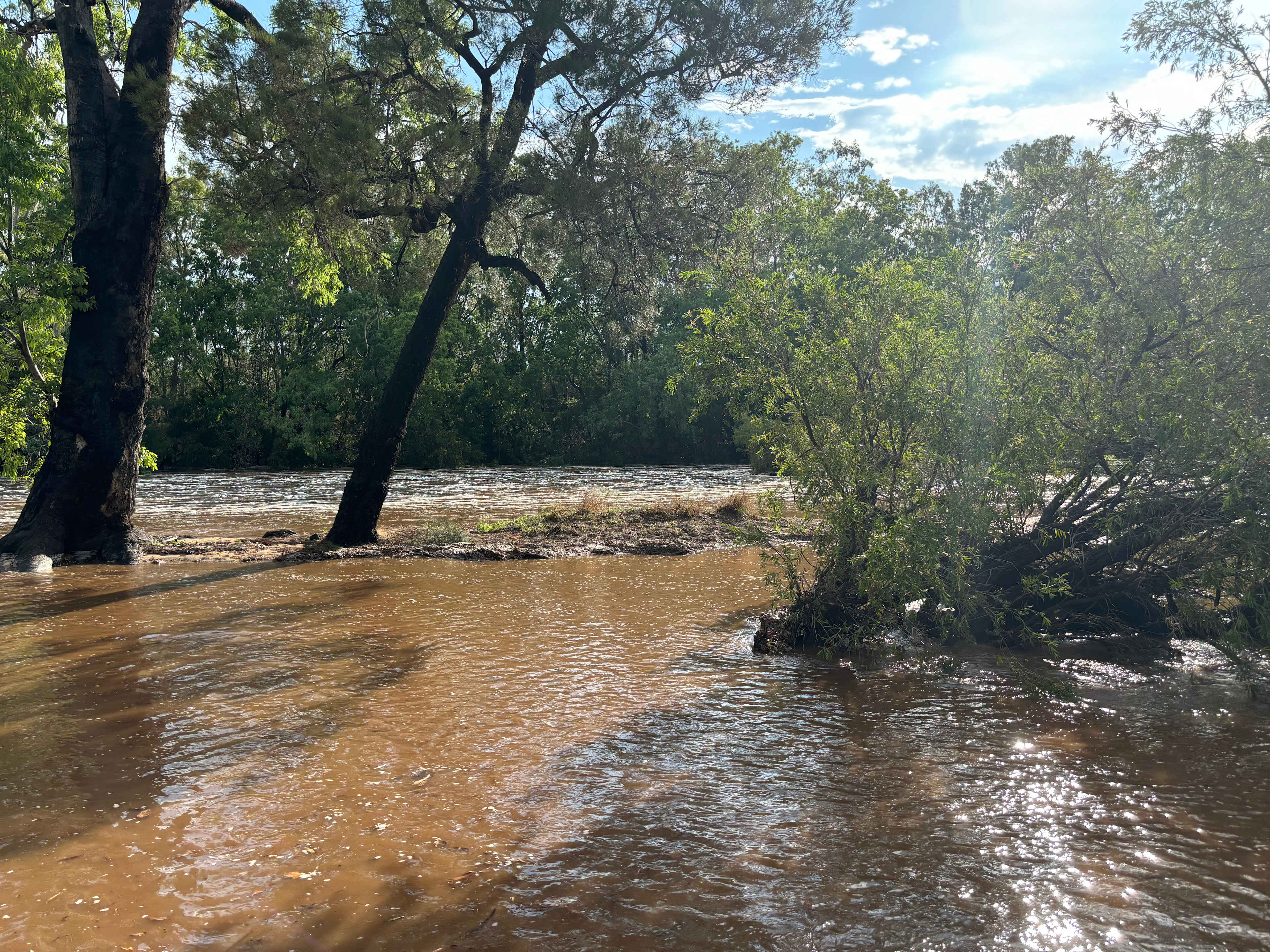 Normanby Rd Nature Bush Camp