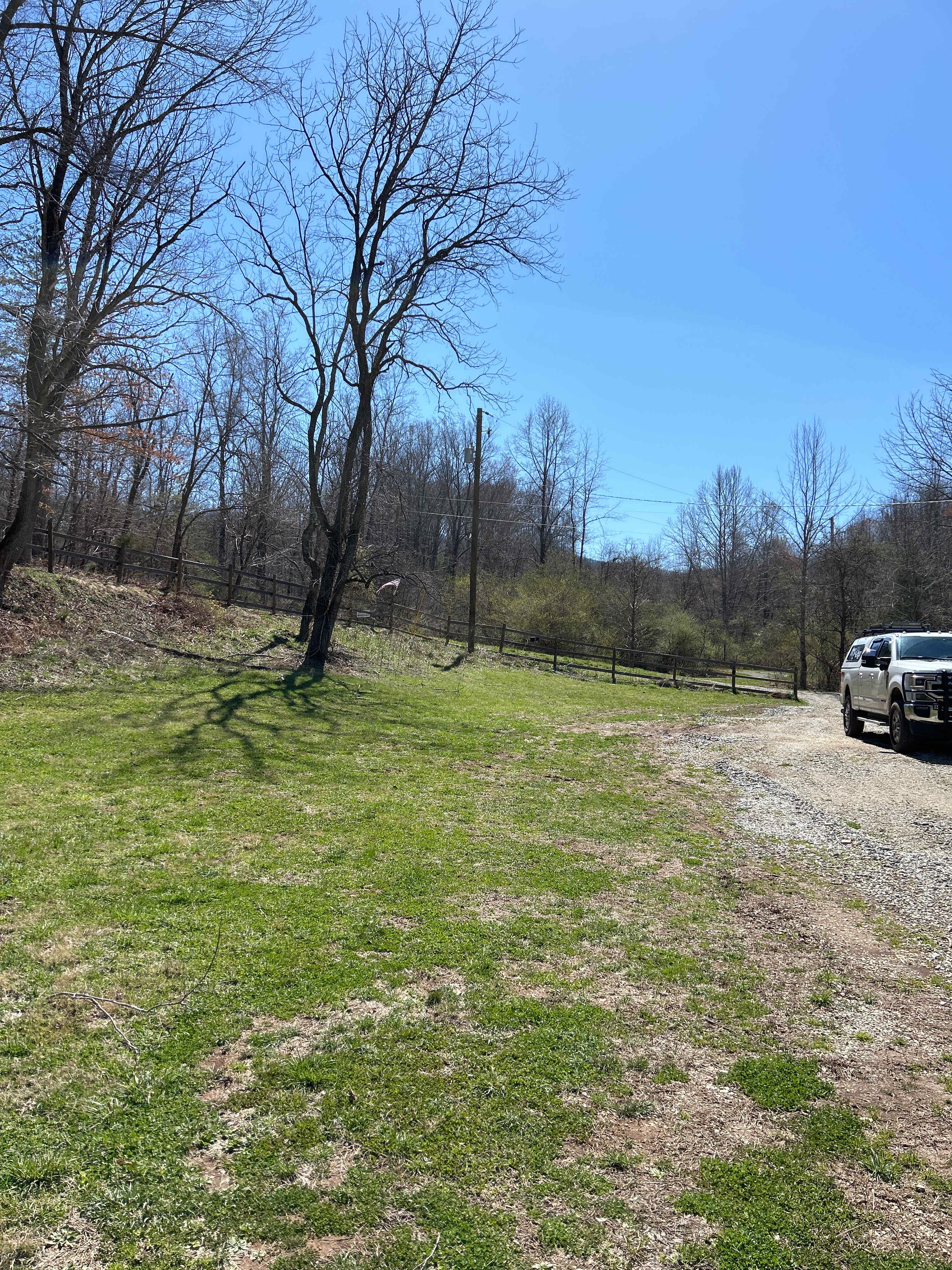 Reedy's Outdoors