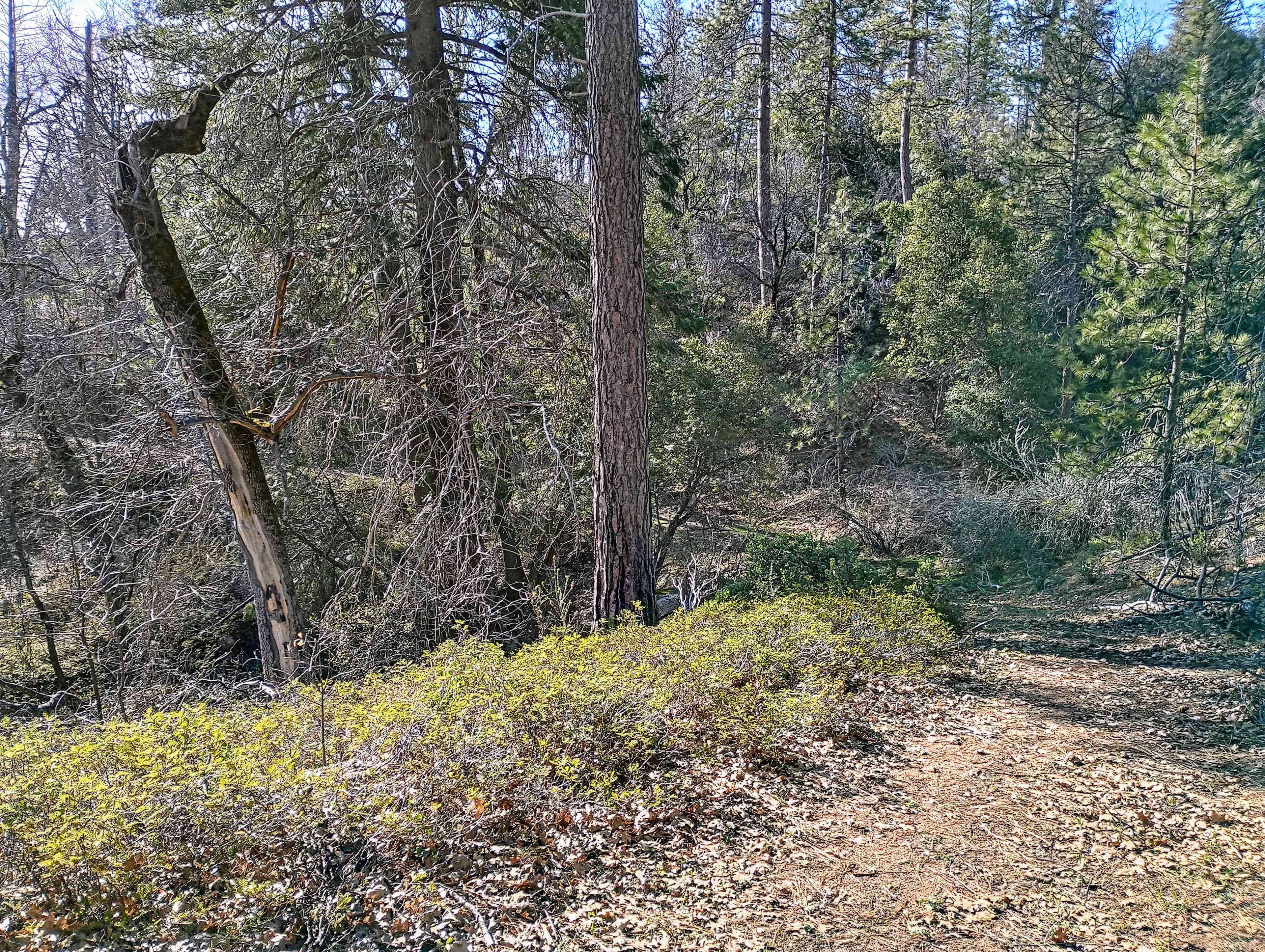 Camping At Yosemite's Doorstep