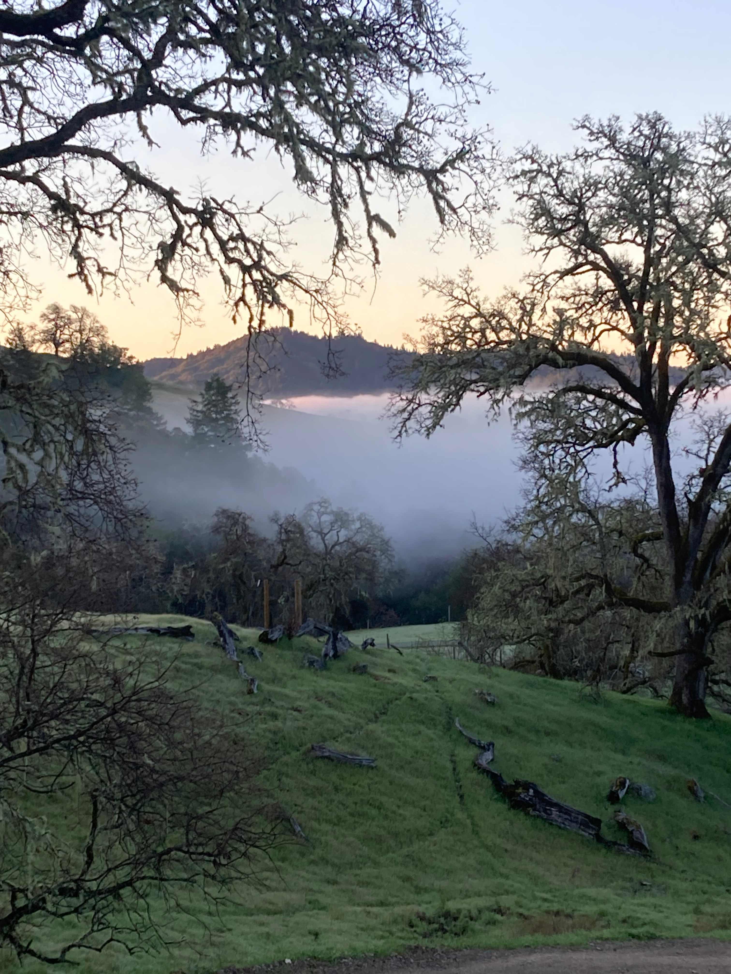 Skye Ranch