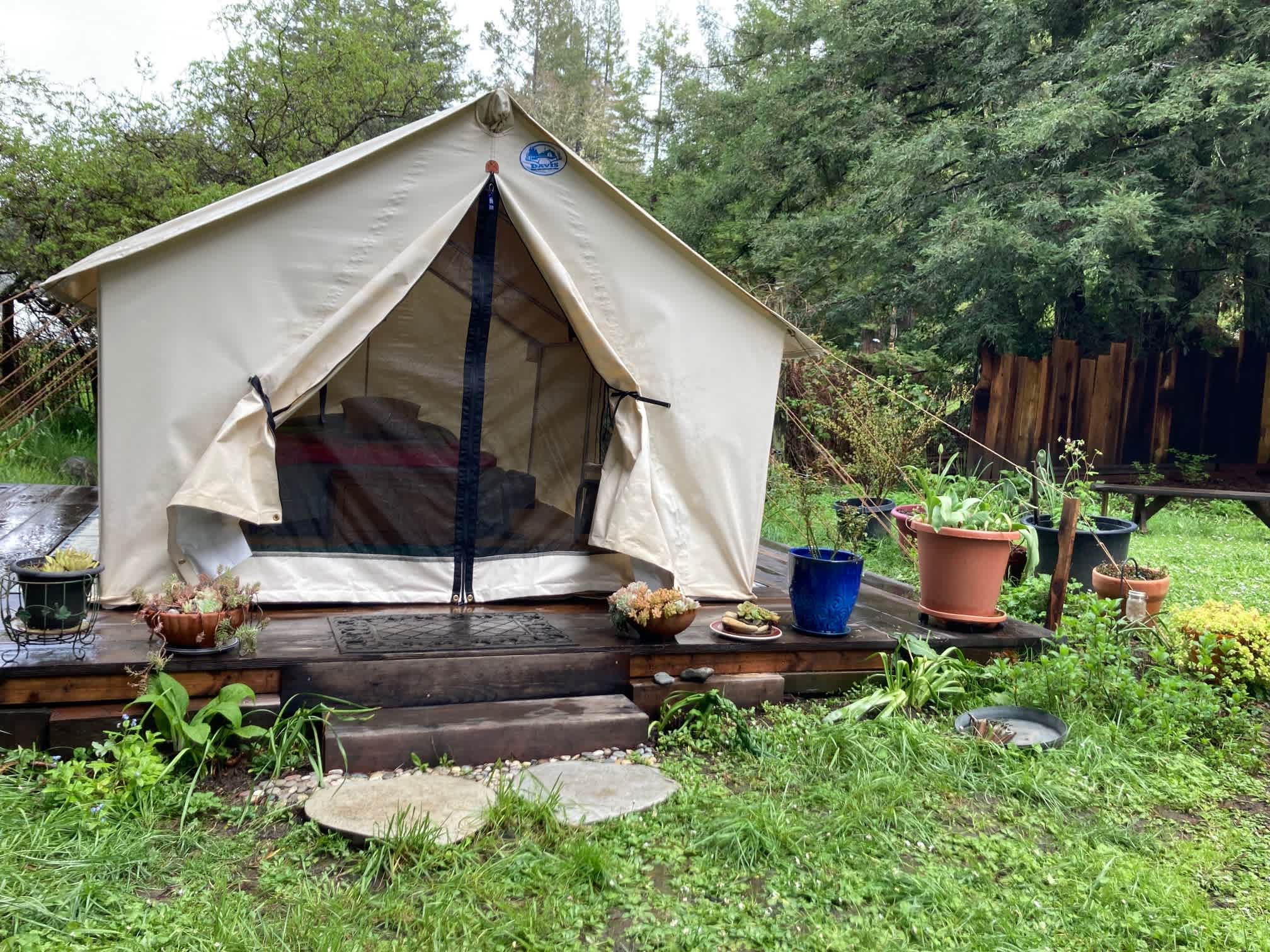 Picture of the site