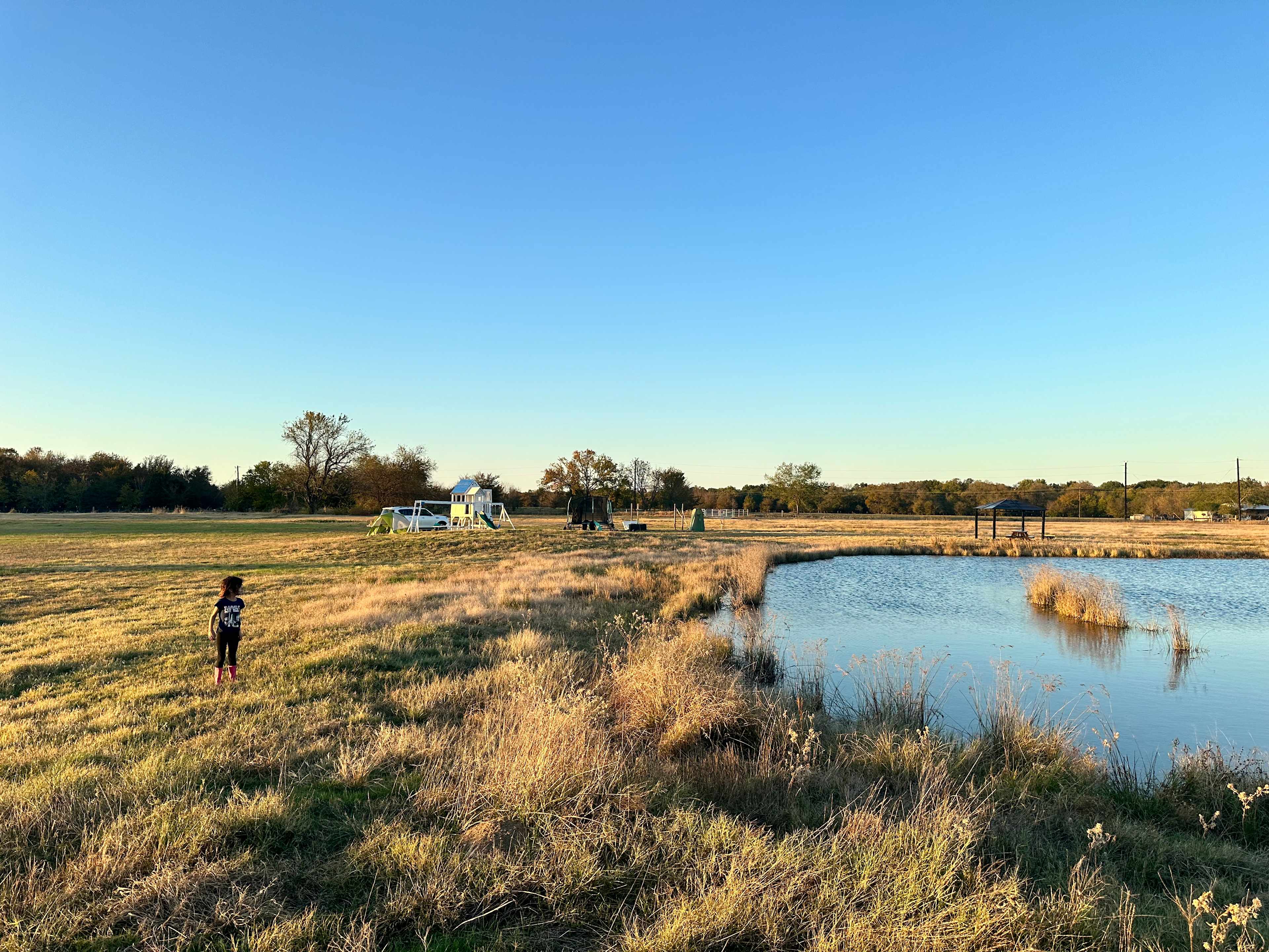 Sulphur Springs Meadow Camp