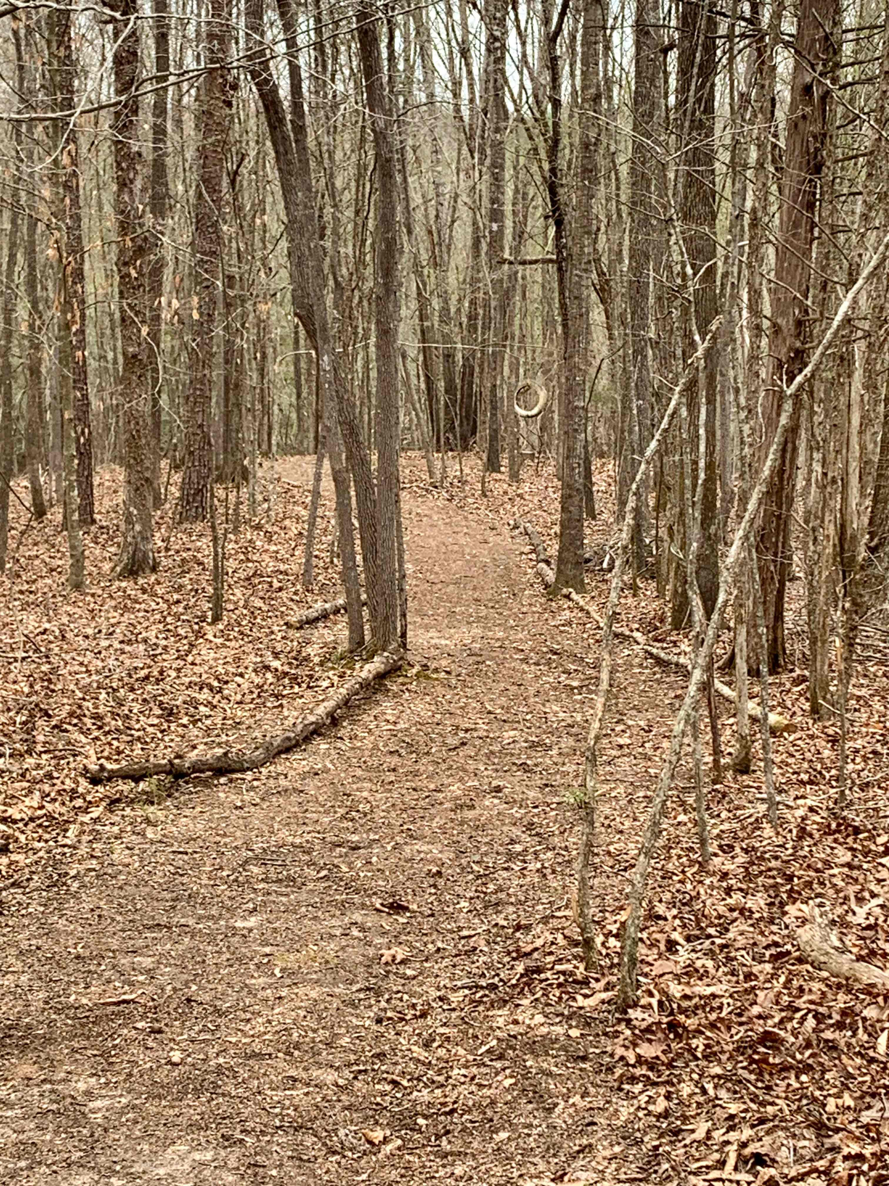 Close to town, yet seclude