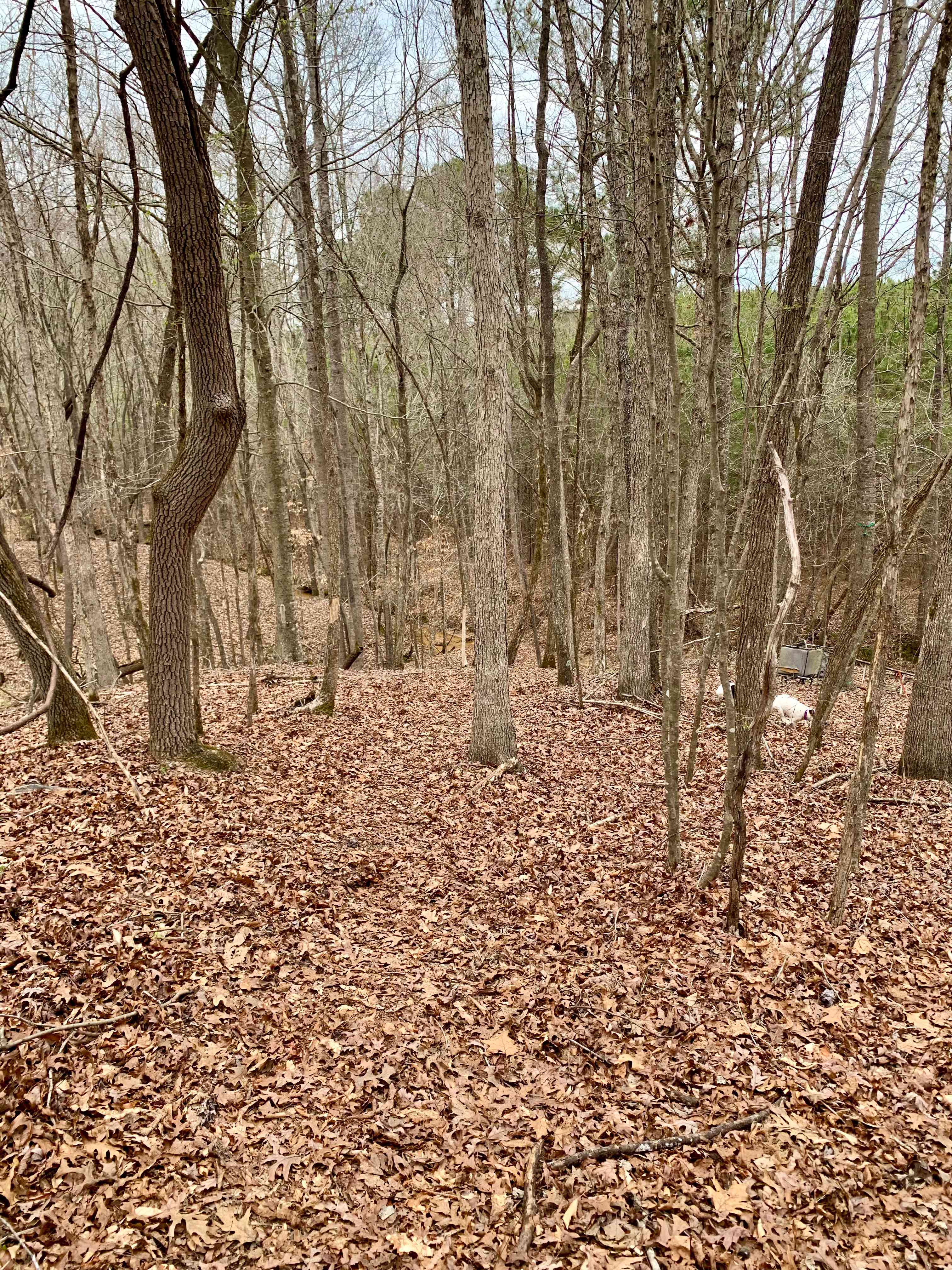 Close to town, yet seclude