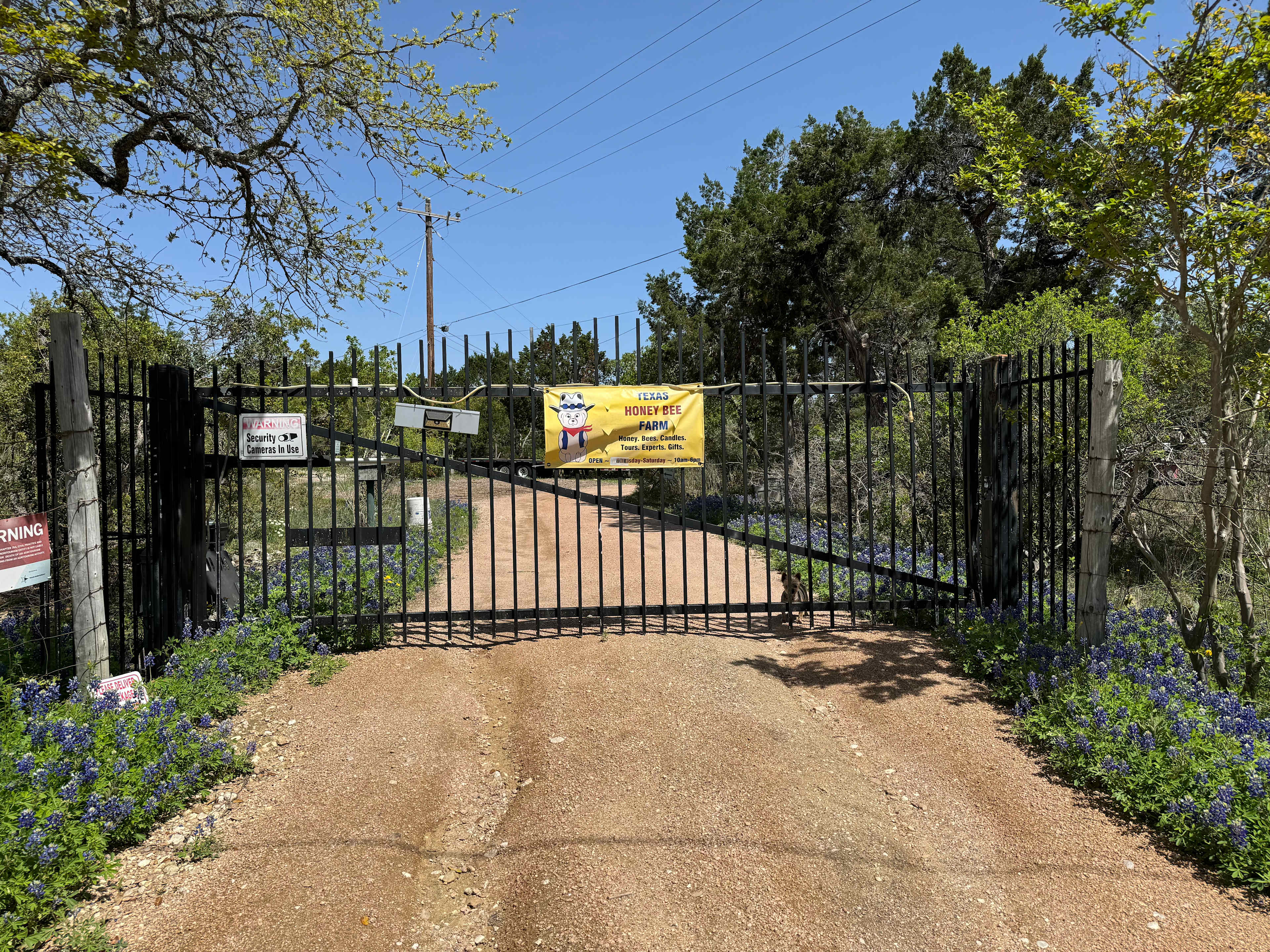 Texas Honey Bee Farm