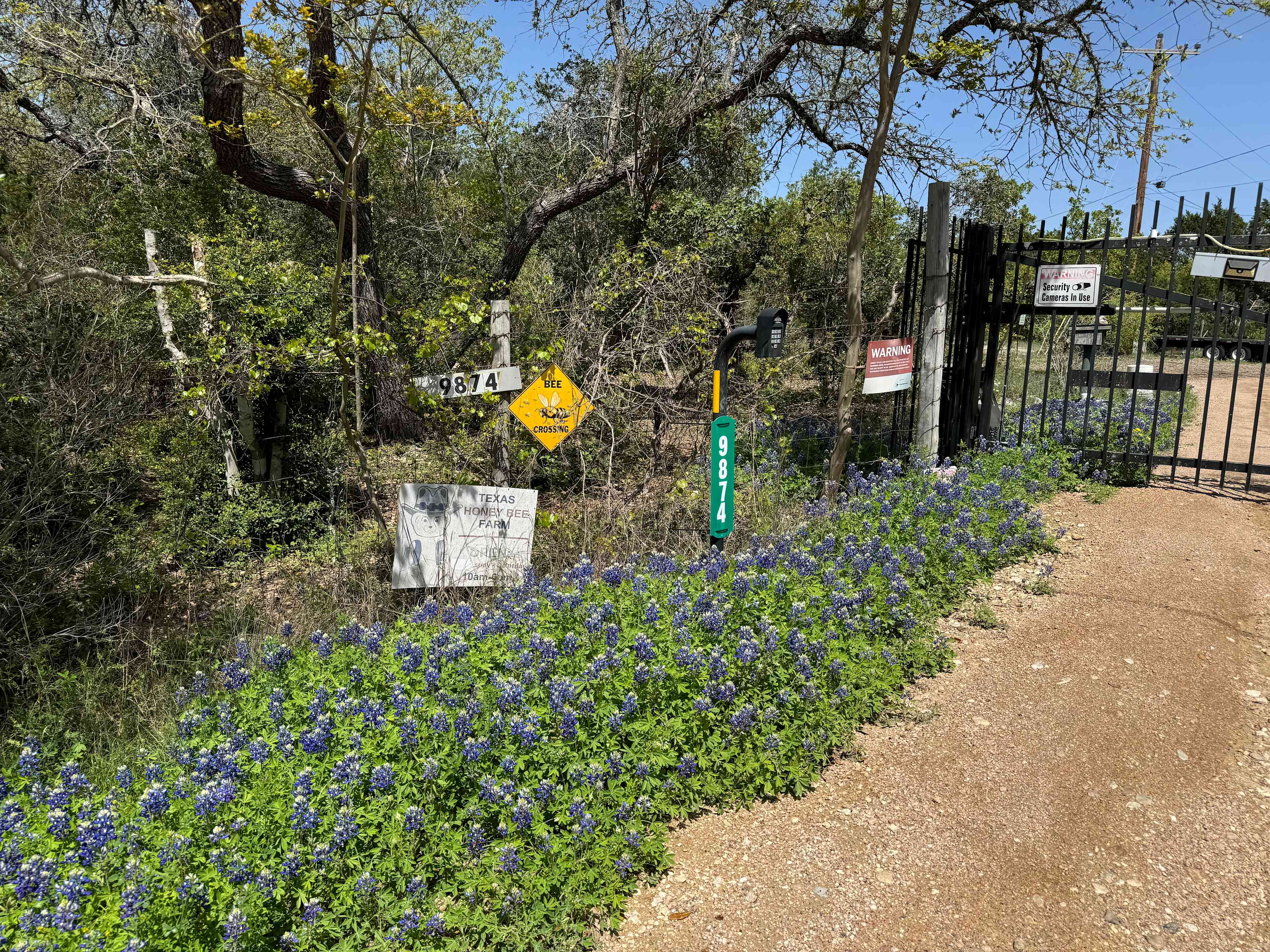 Picture of the site