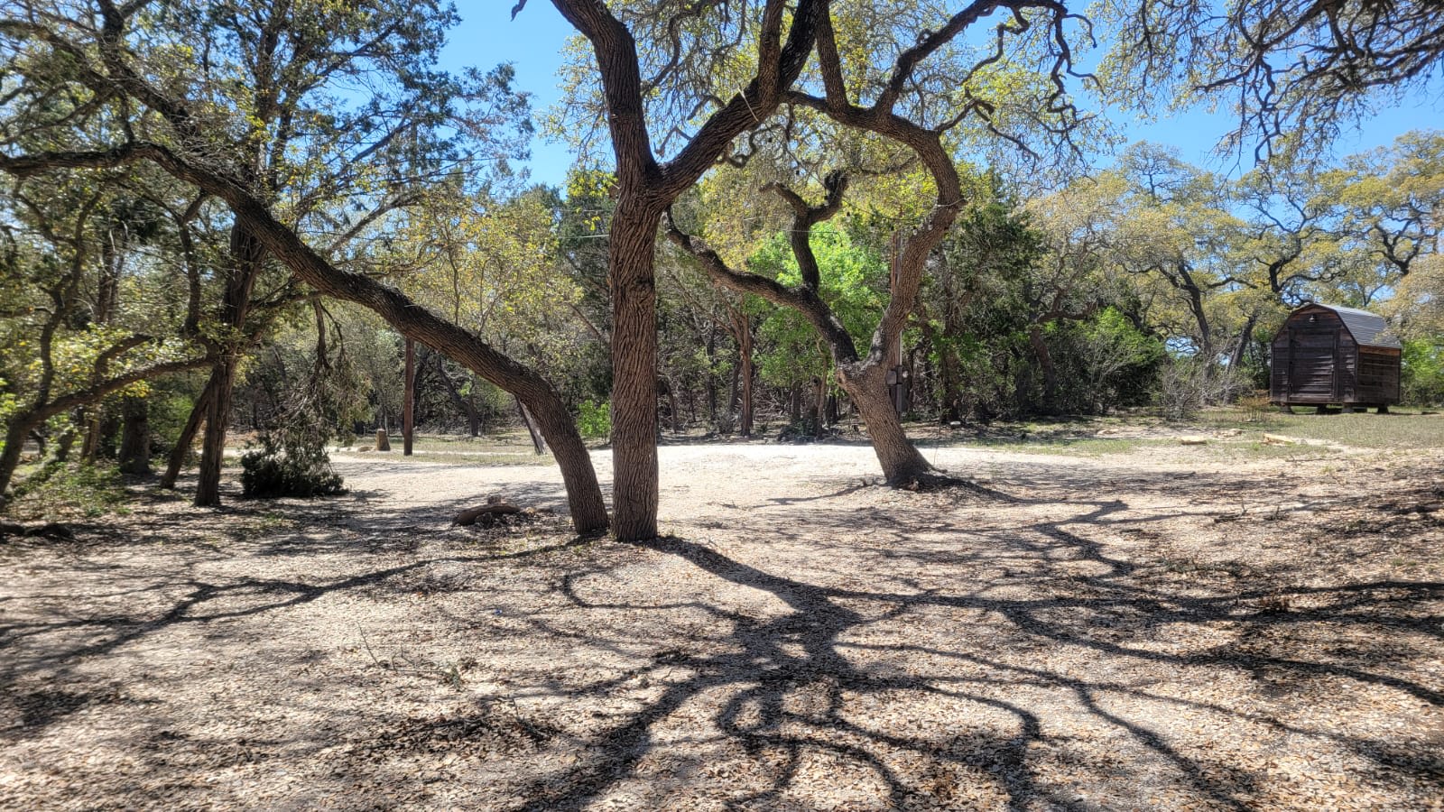 Oso's Ranch Retreat