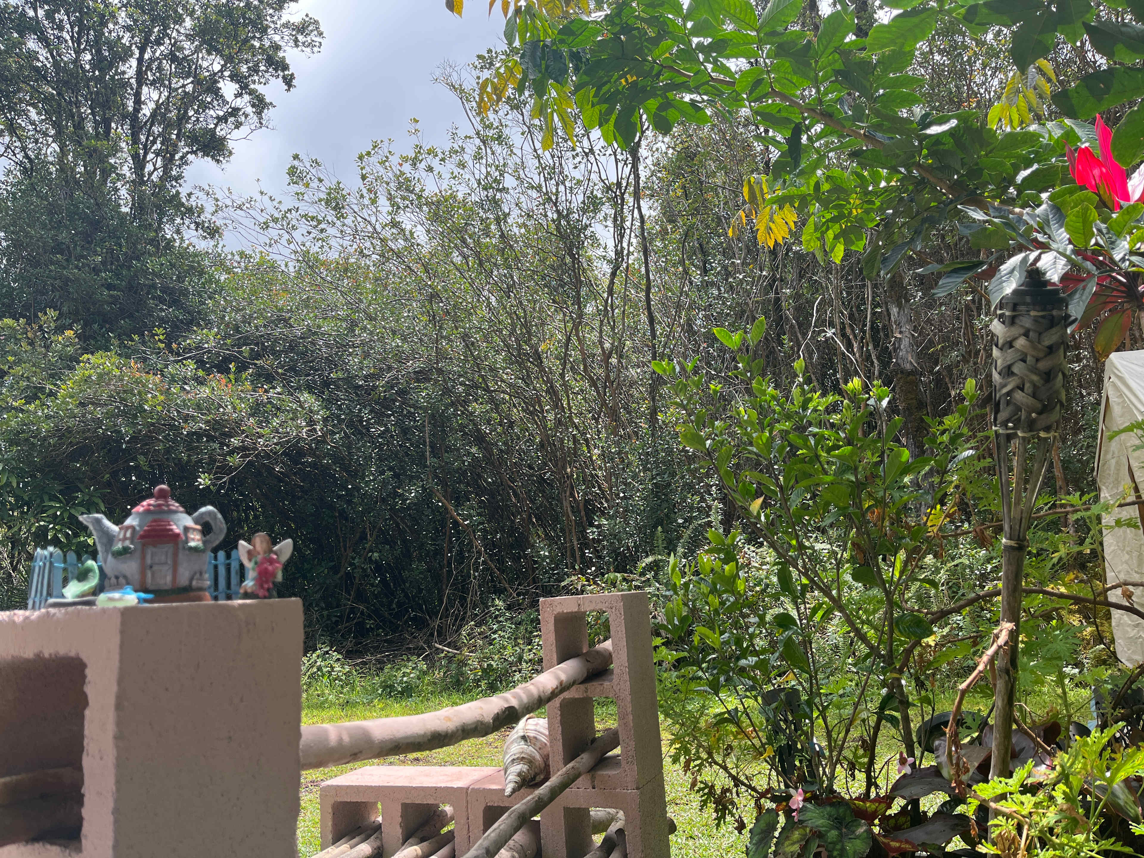 Plumeria Spa Retreat