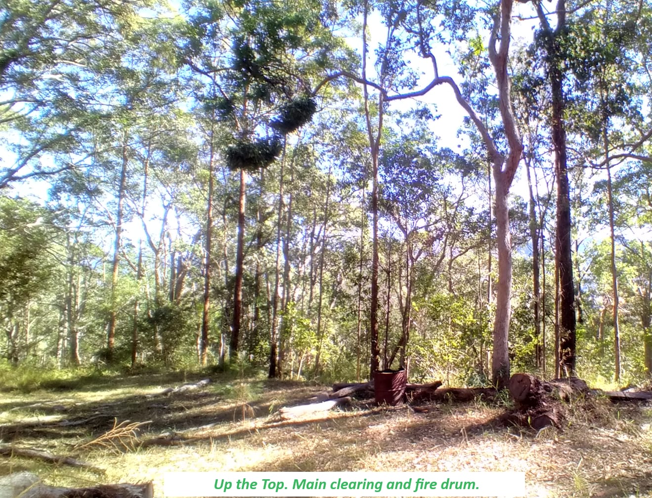 Picture of the site