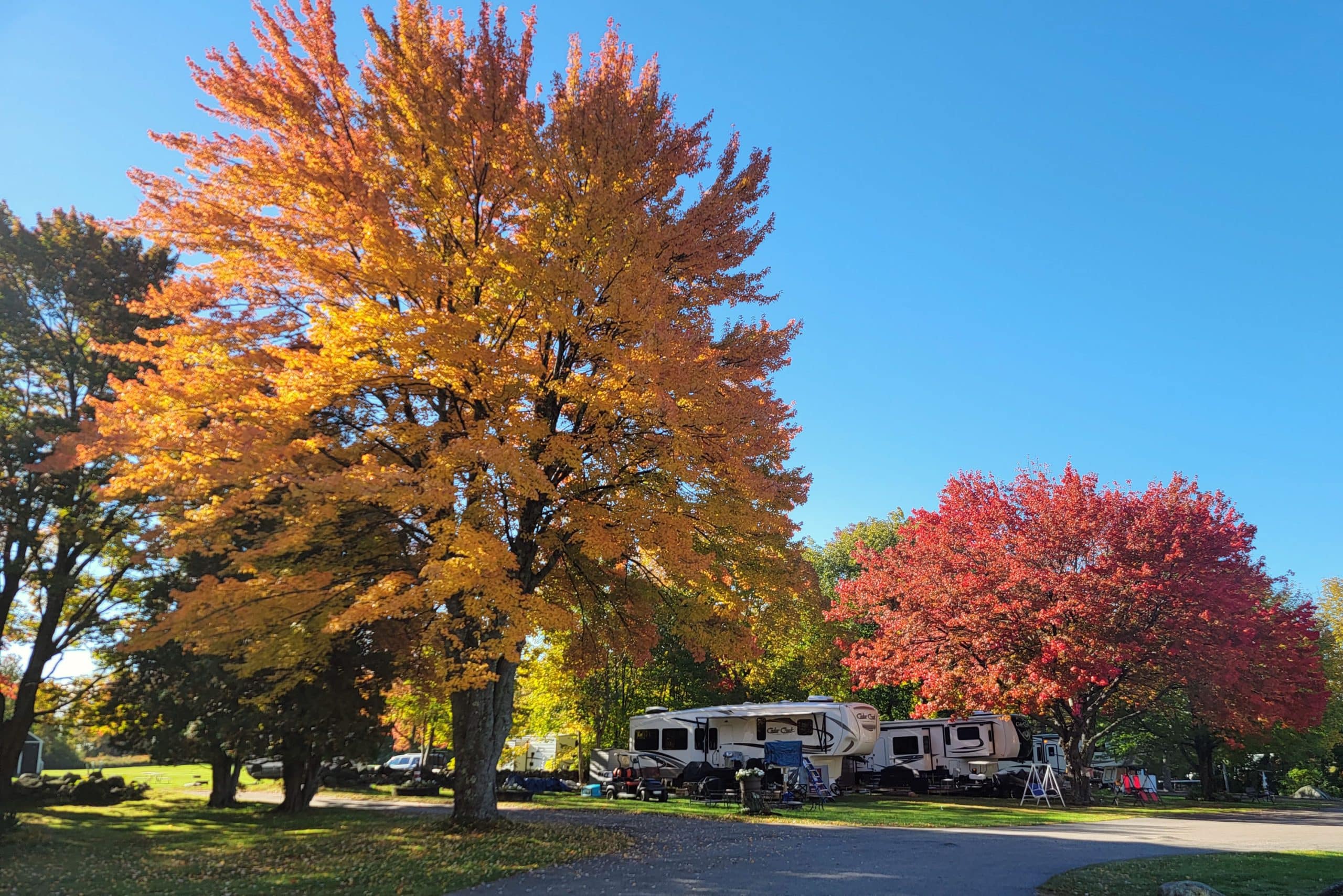 Spacious Skies Walnut Grove Campground