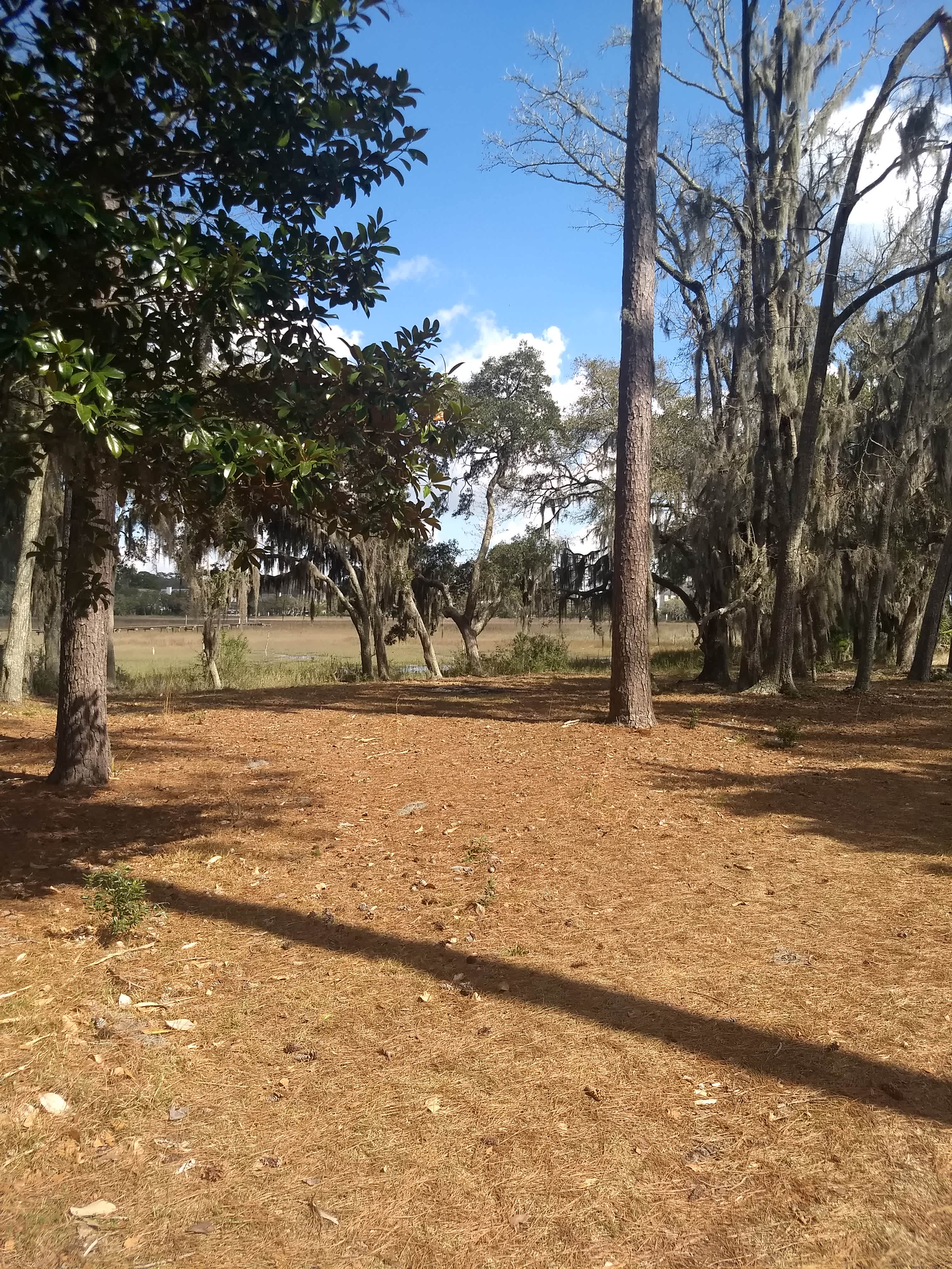 Marshside