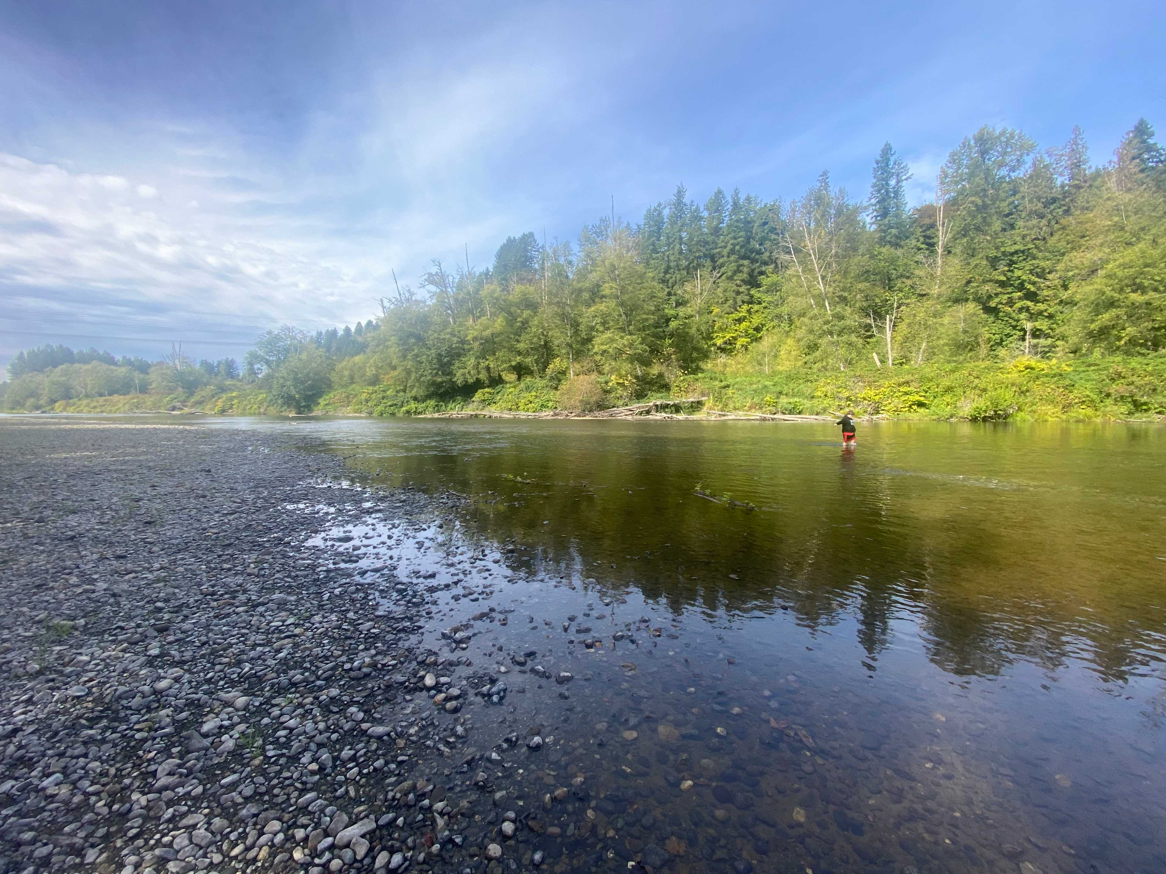 Summertime. Down river