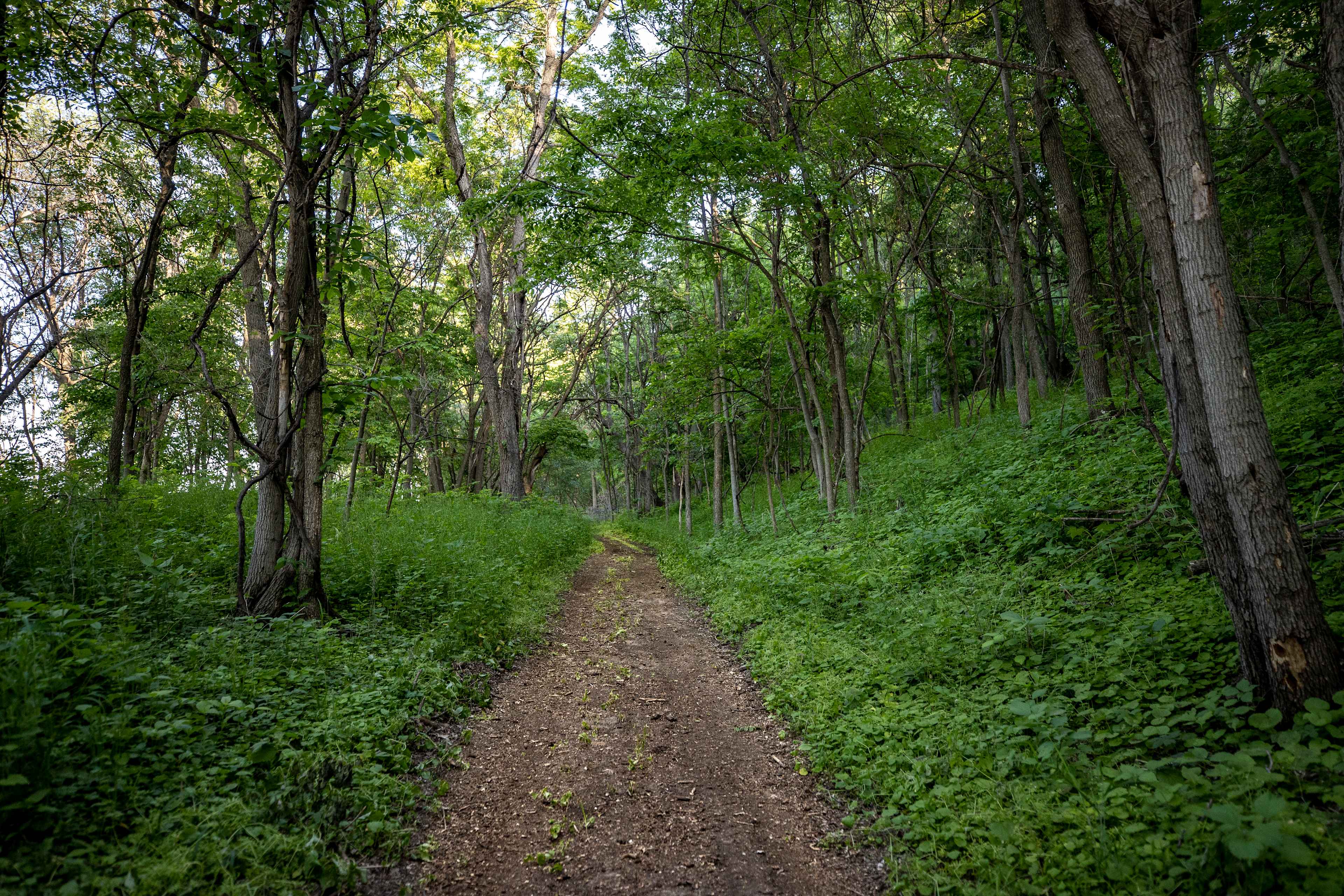 Arrowtree Campgrounds