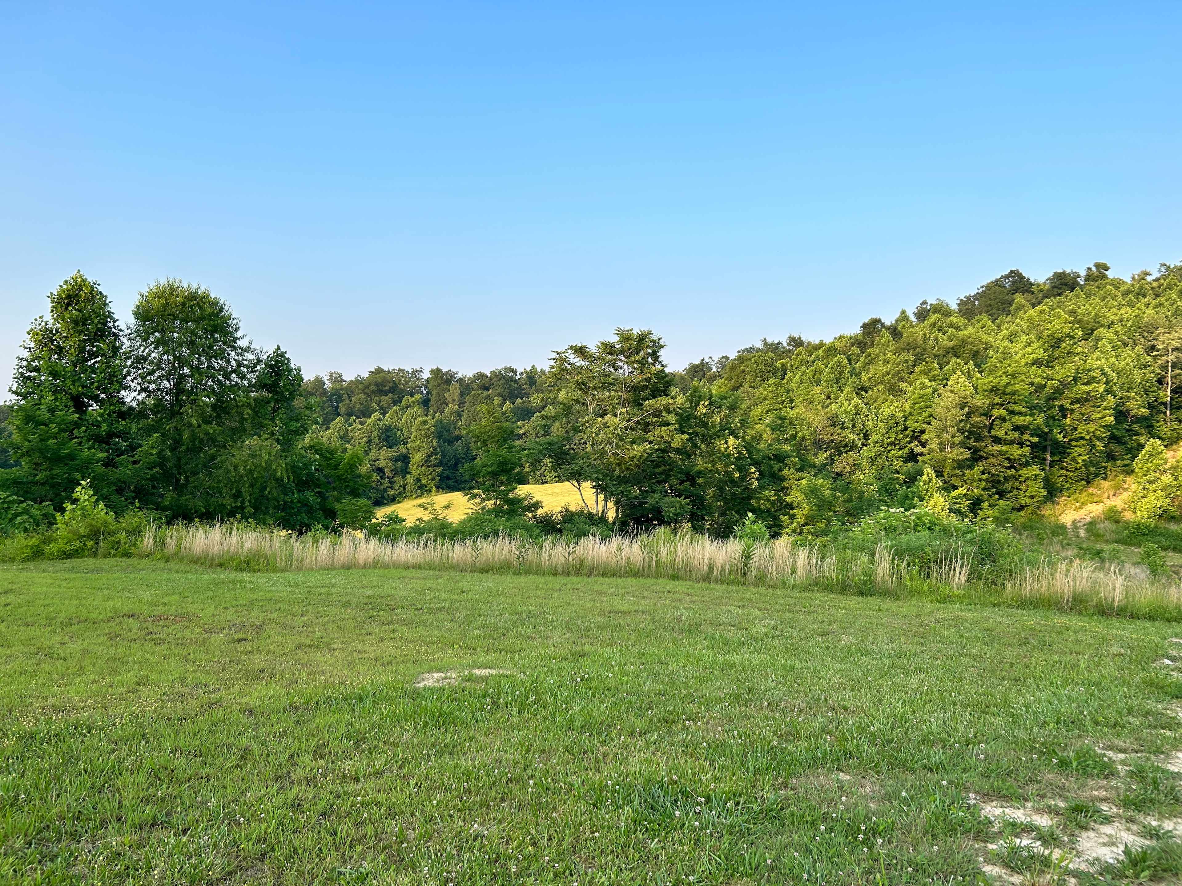 Furnace Mountain Rustic Retreat