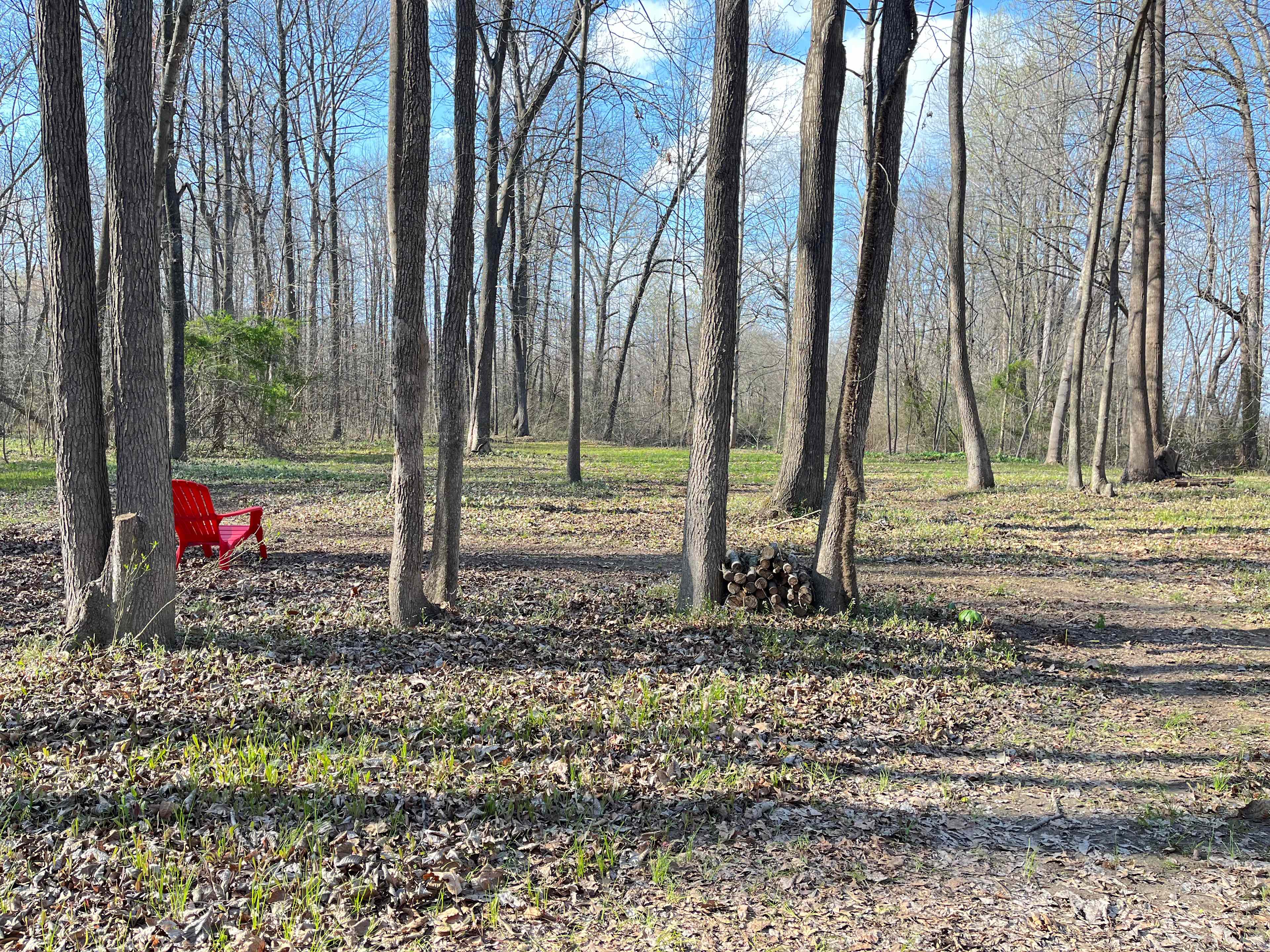 Rock Hole Meadow