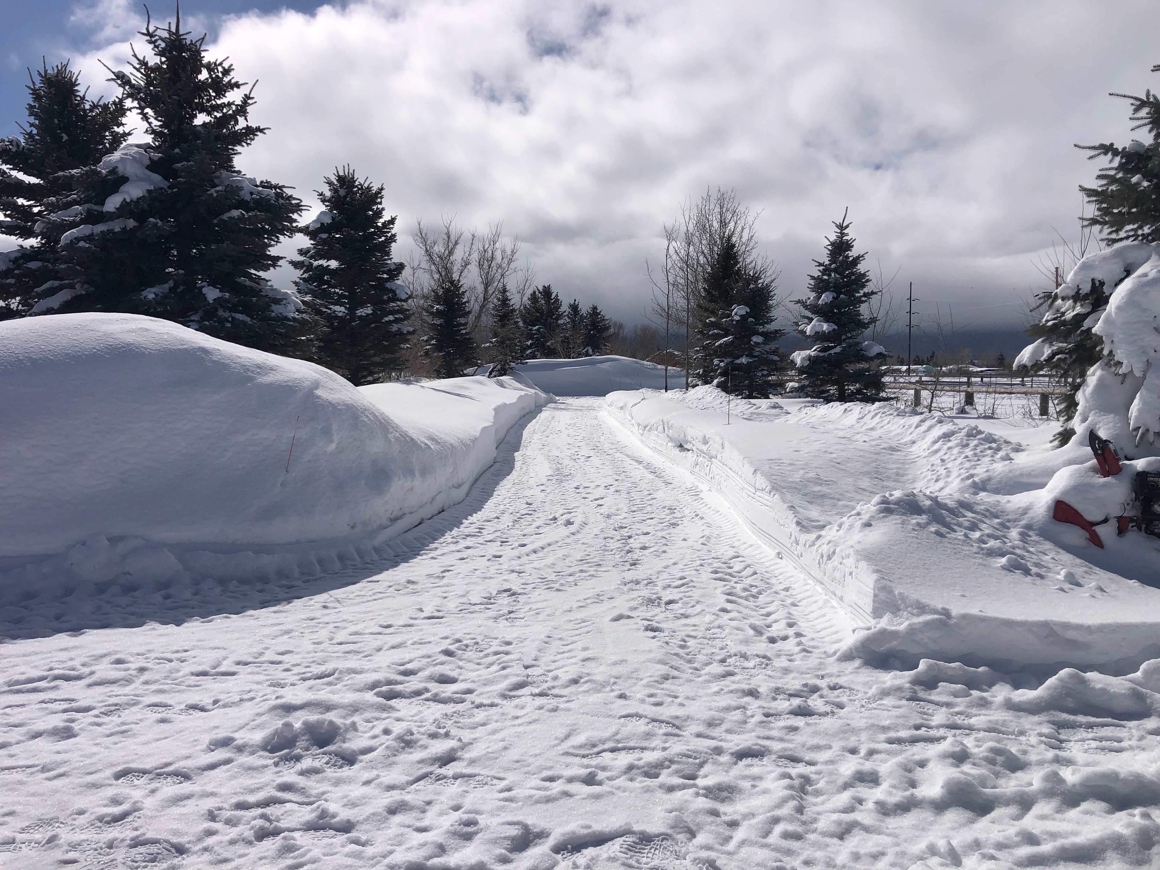 What our ground looks like in early March