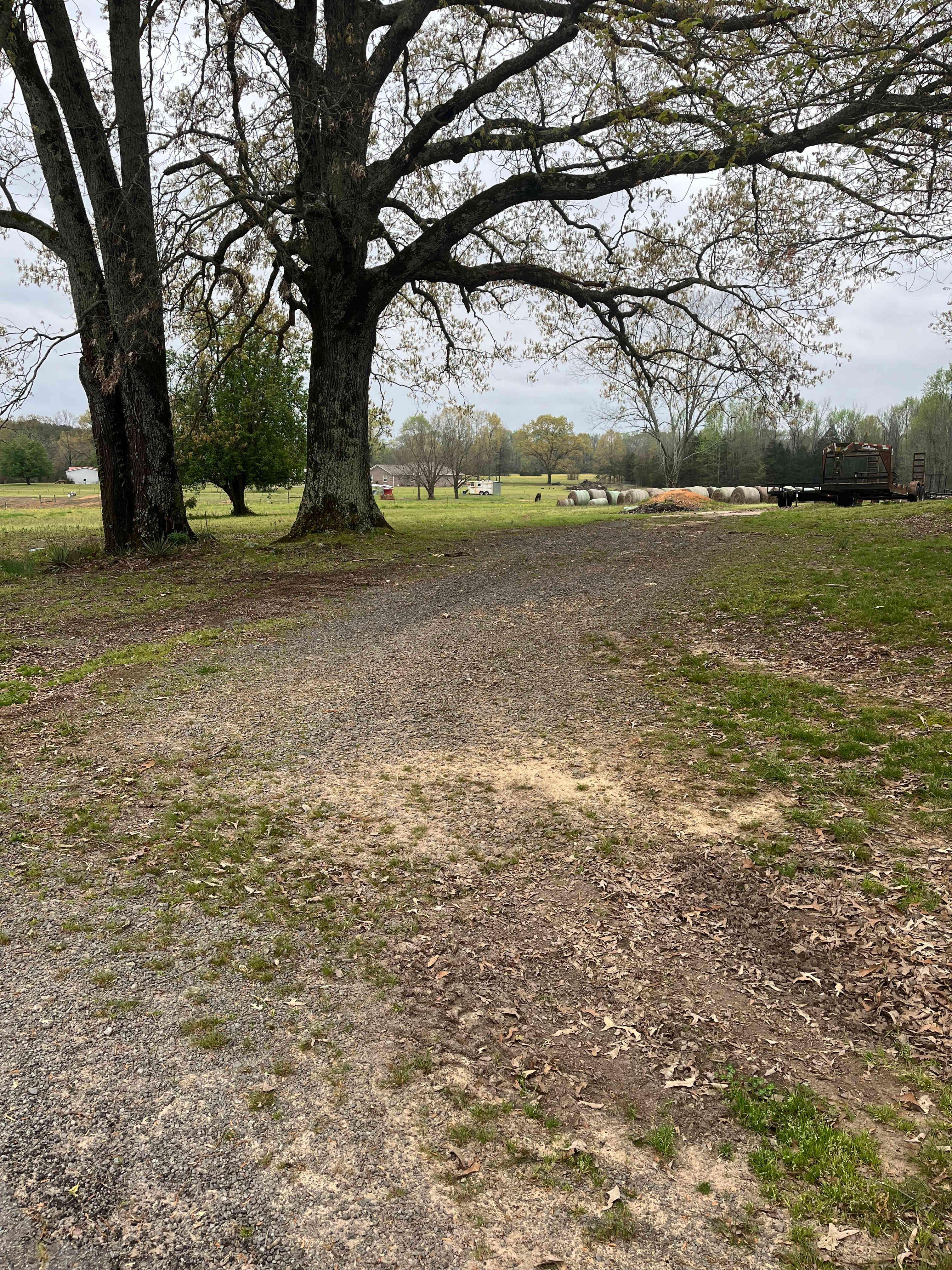 DMB Horse Farm