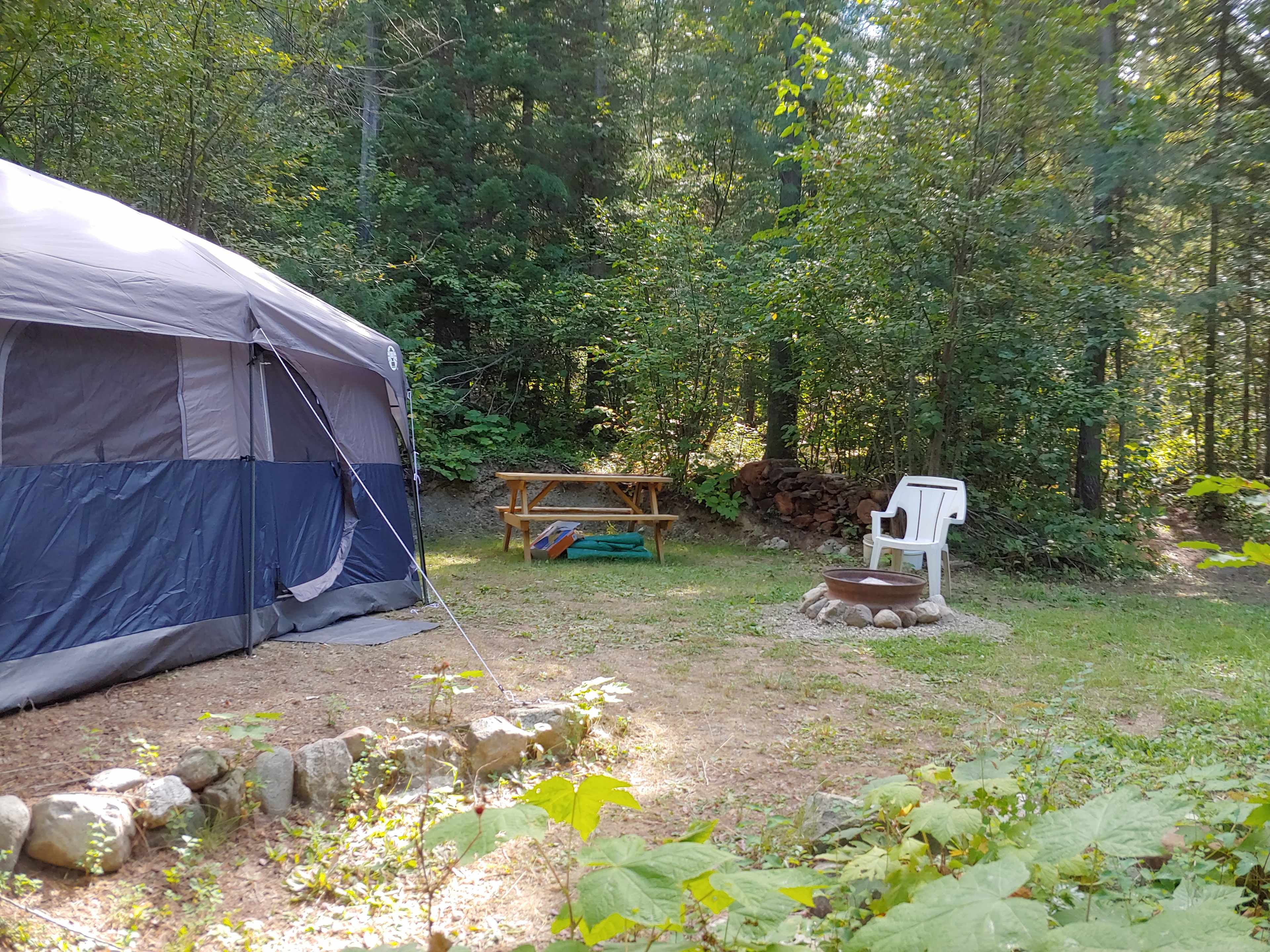 Picture of the site