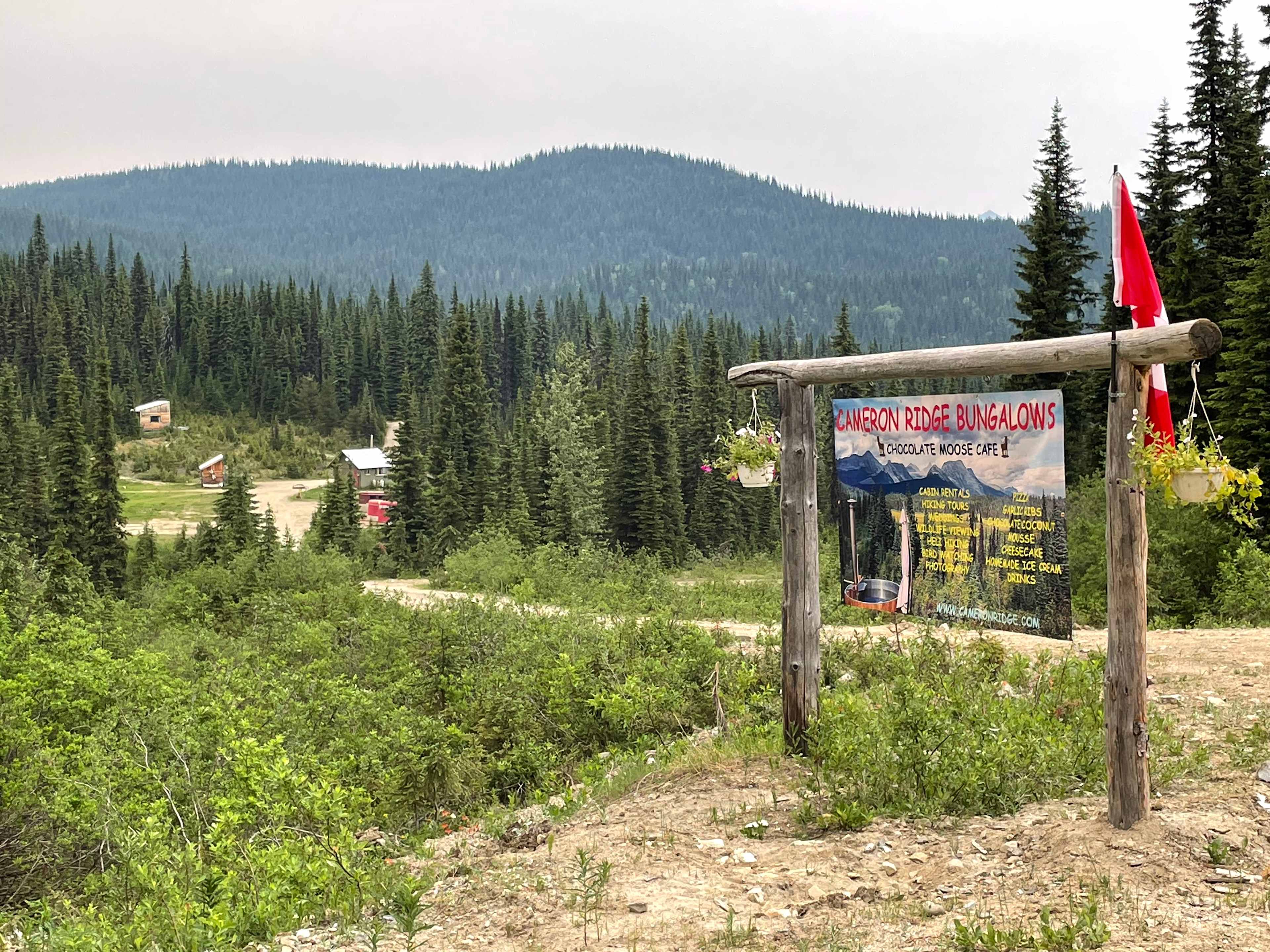 Picture of the site