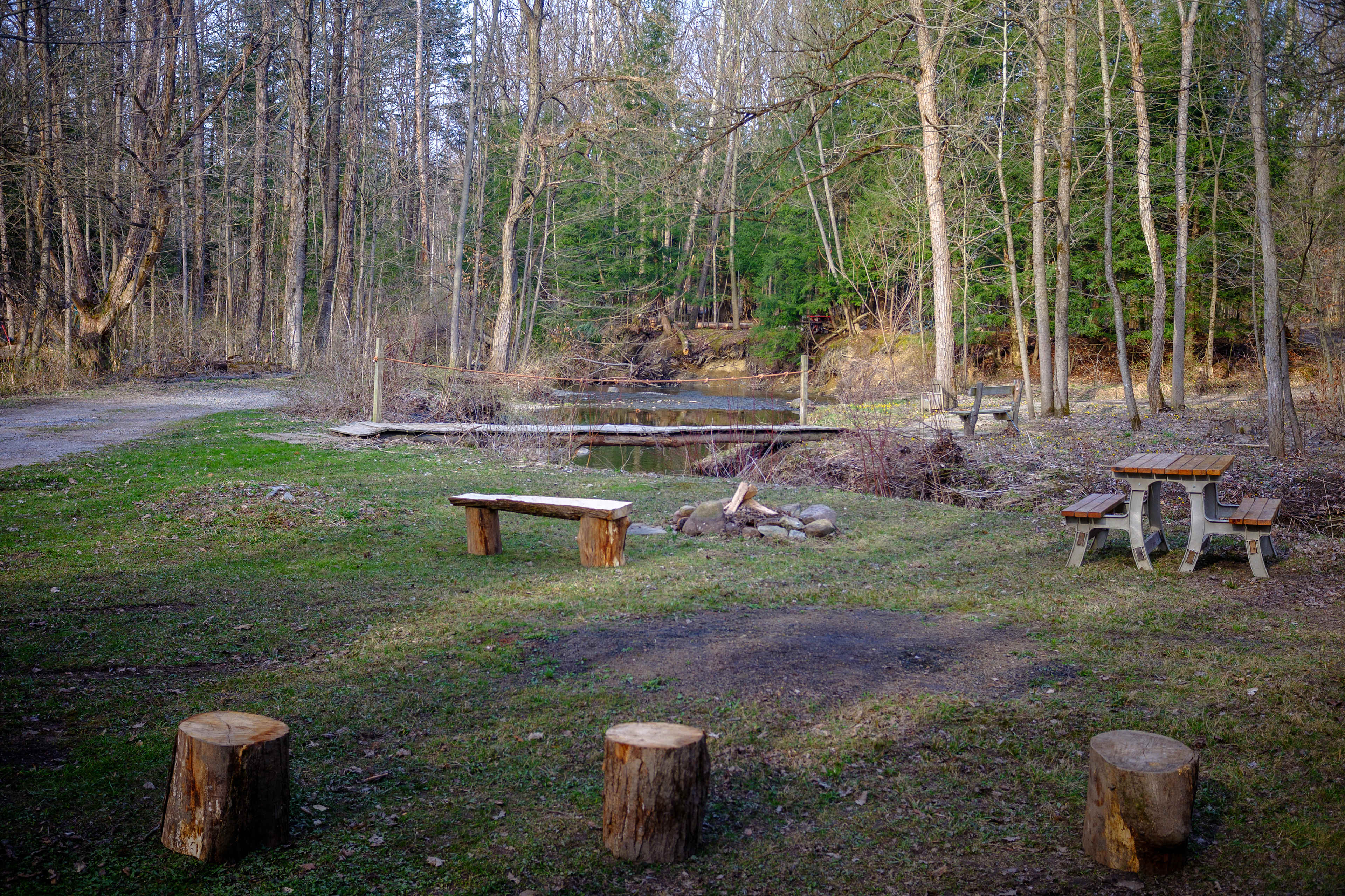Picture of the site